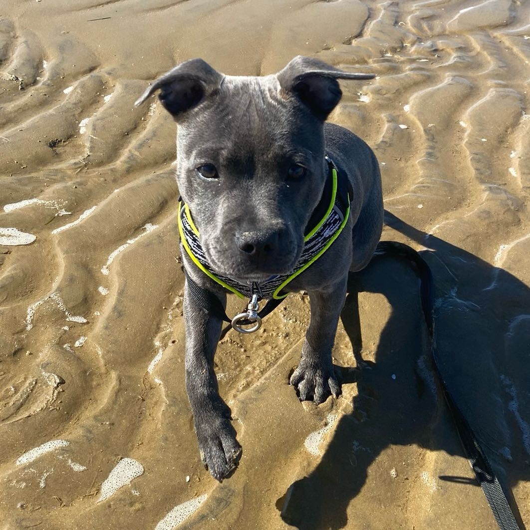 Luna