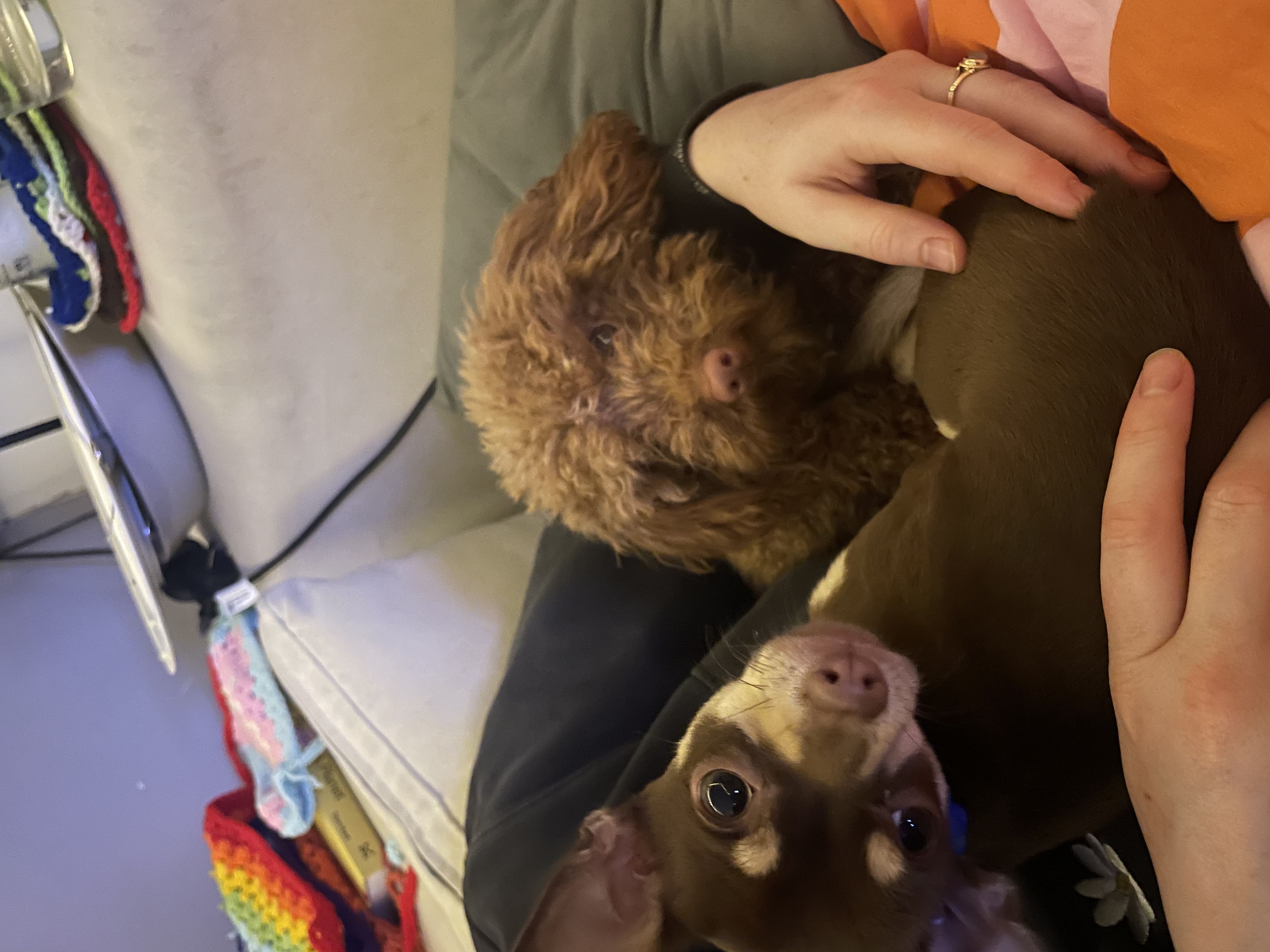 image-11