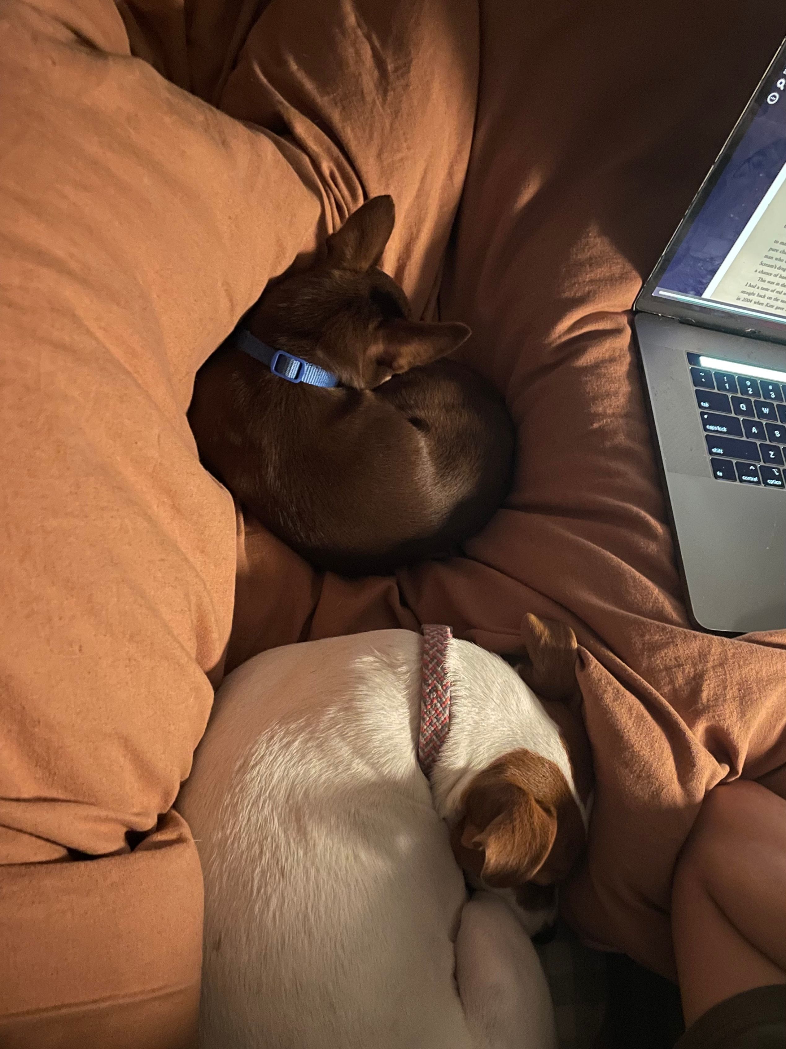 image-0