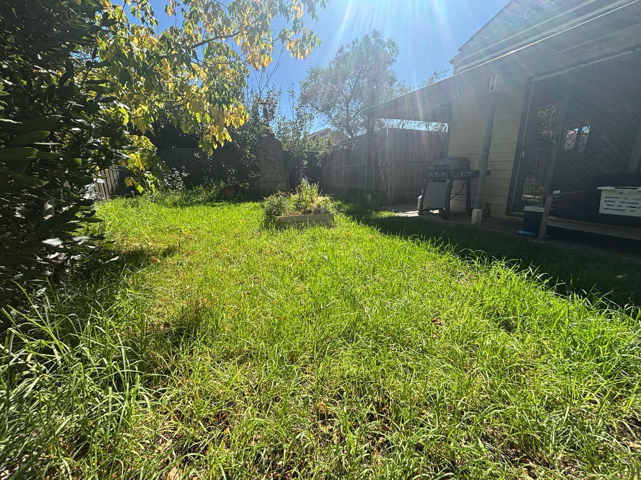 image-16