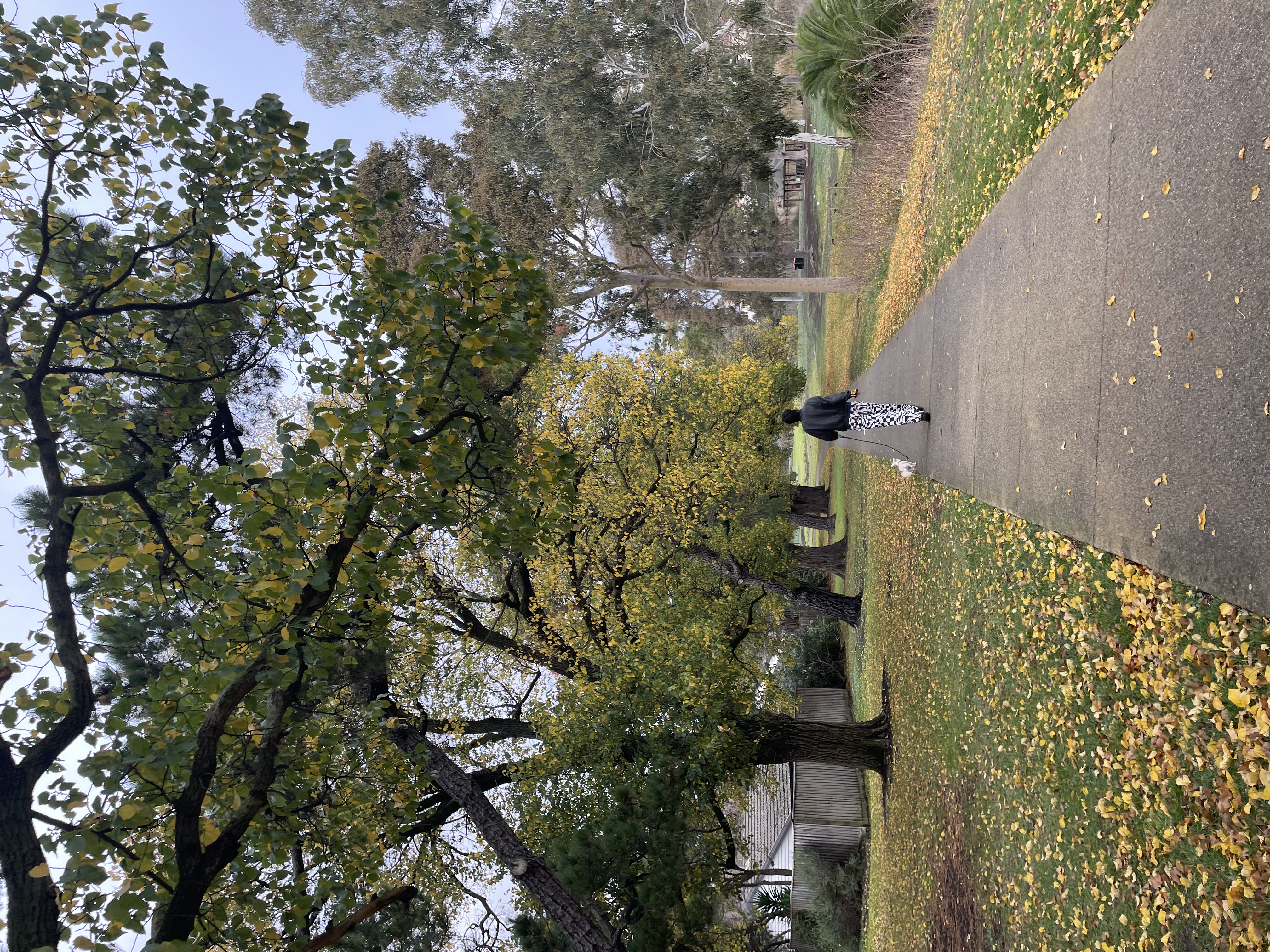 image-15