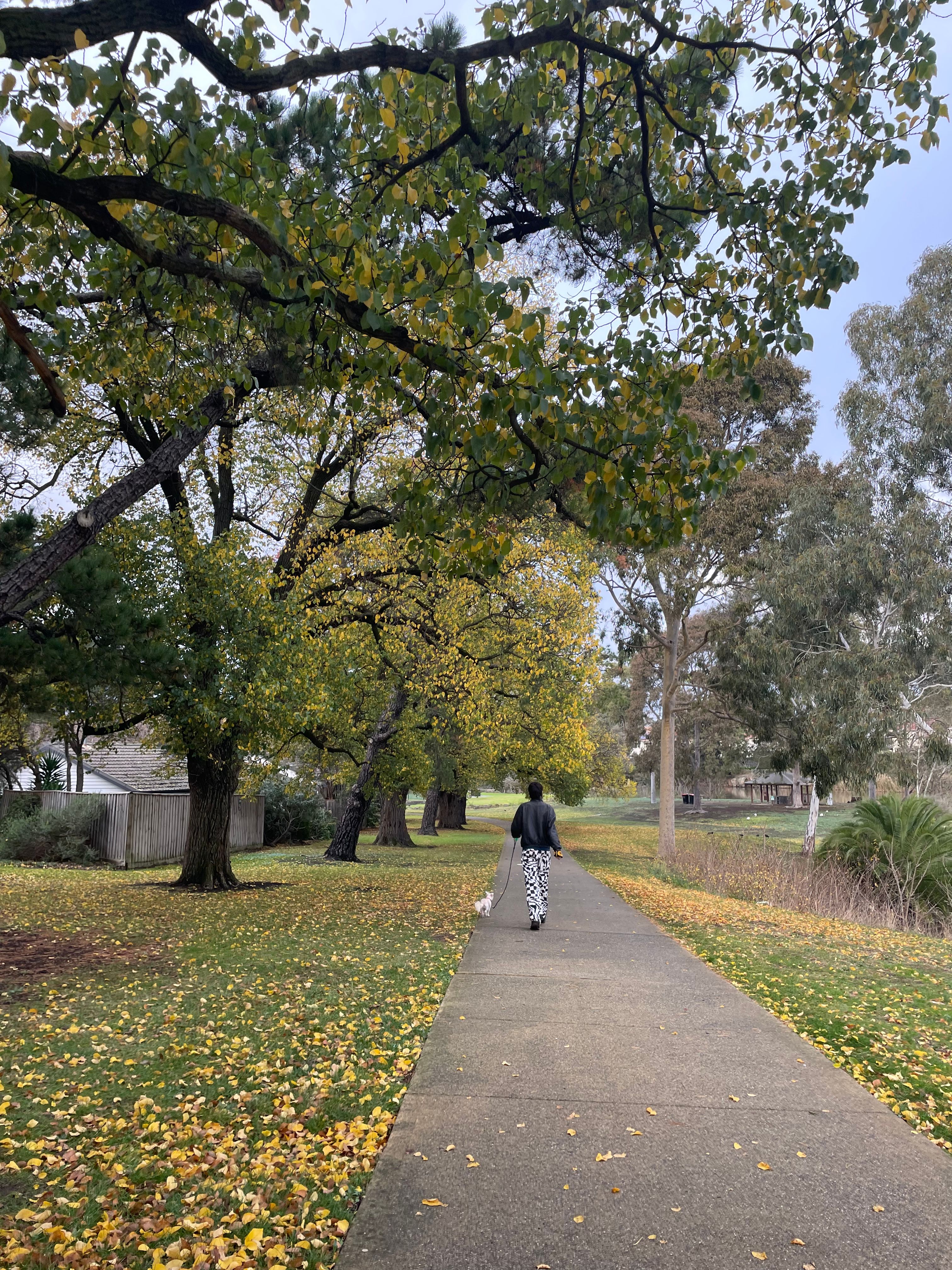 image-15