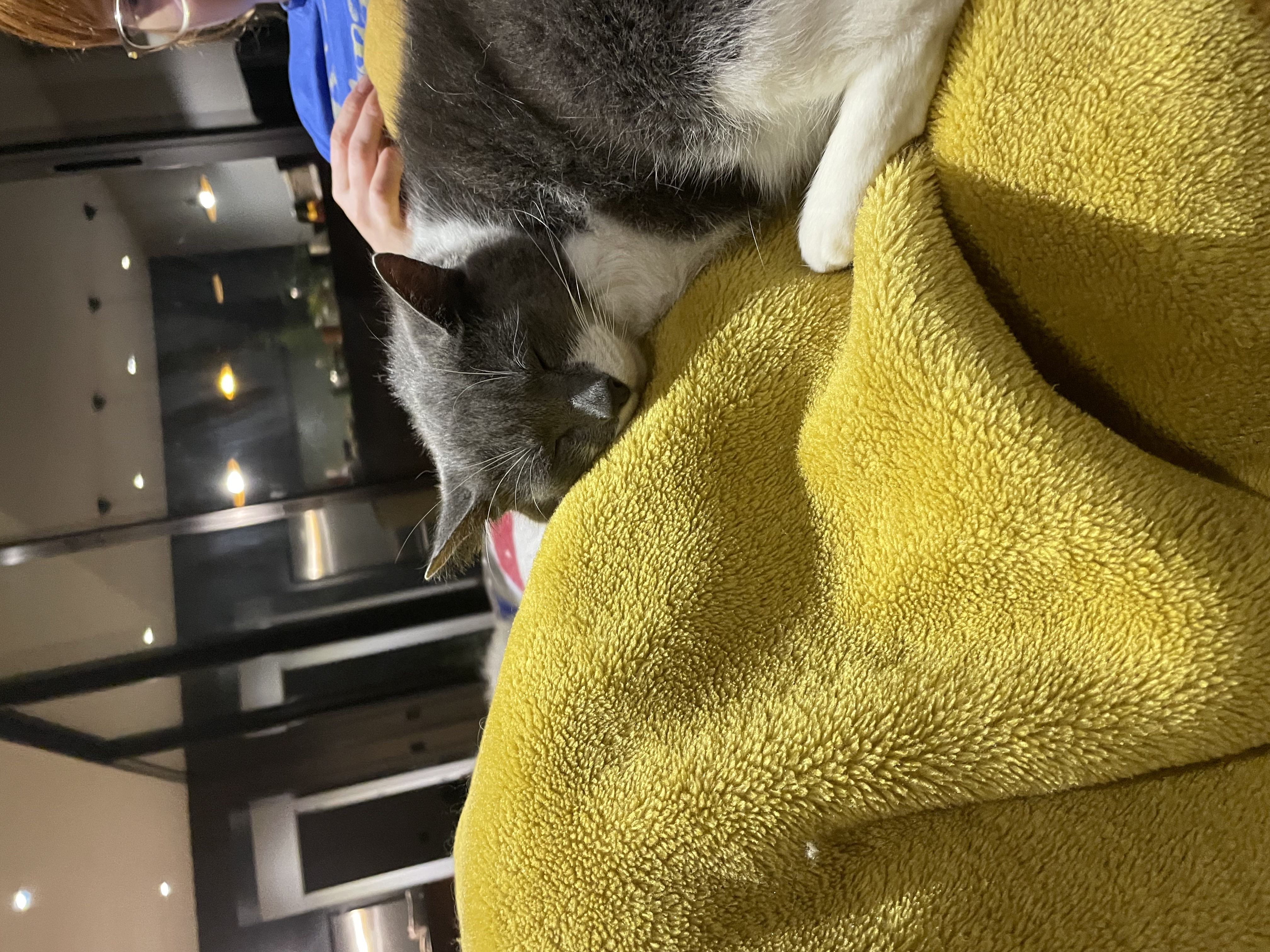 image-9