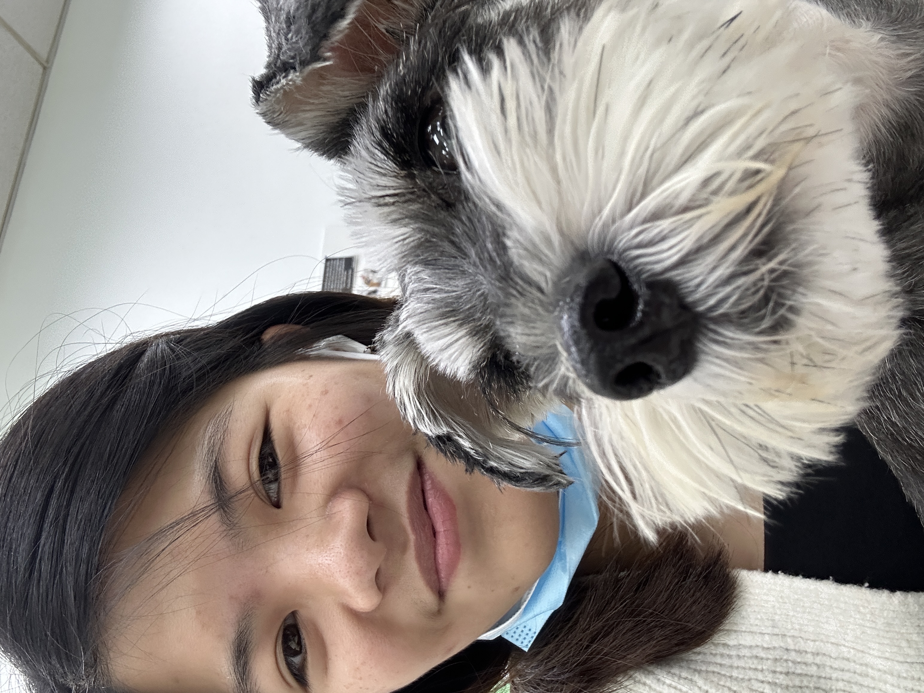 image-7