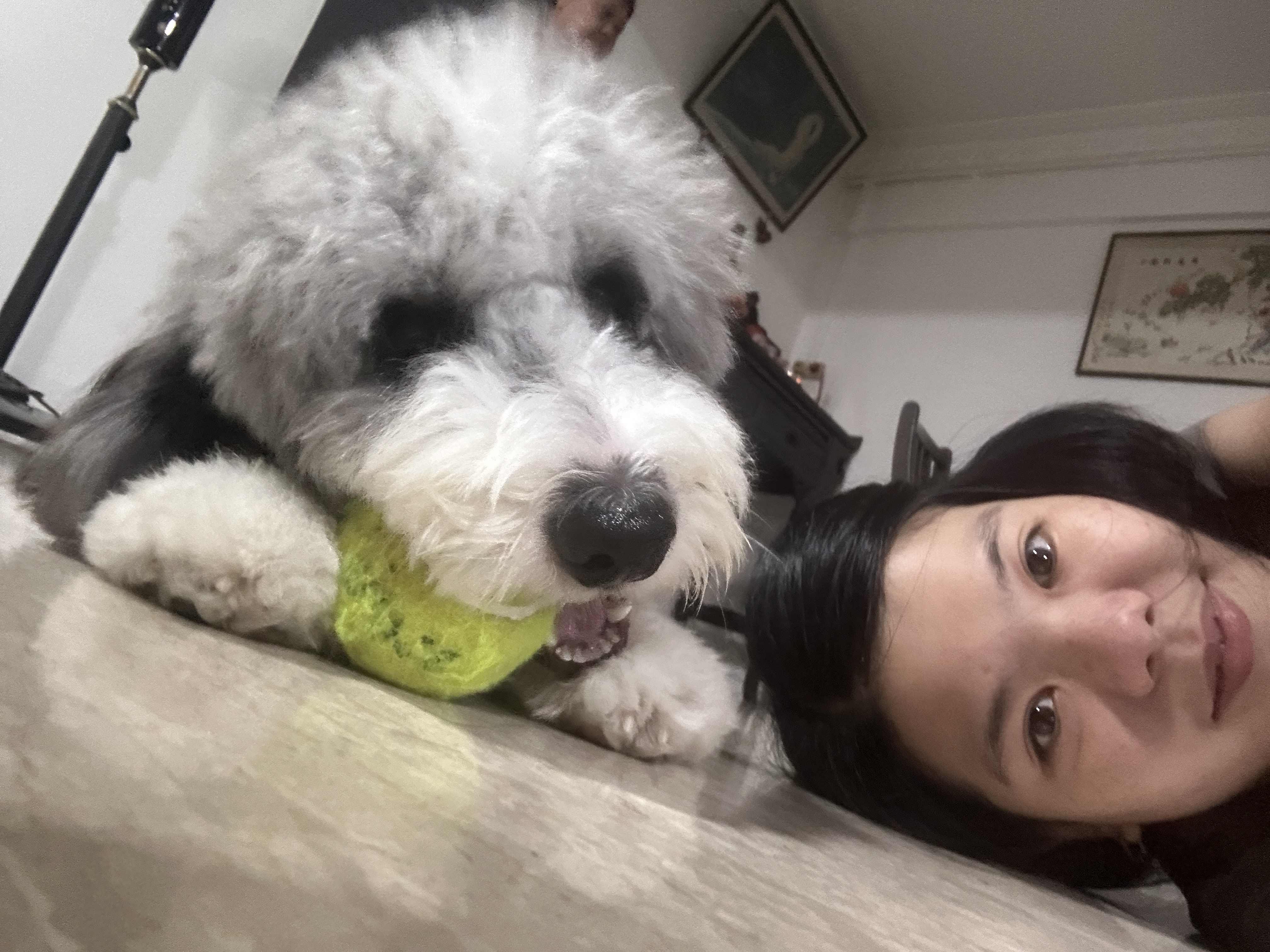 image-9