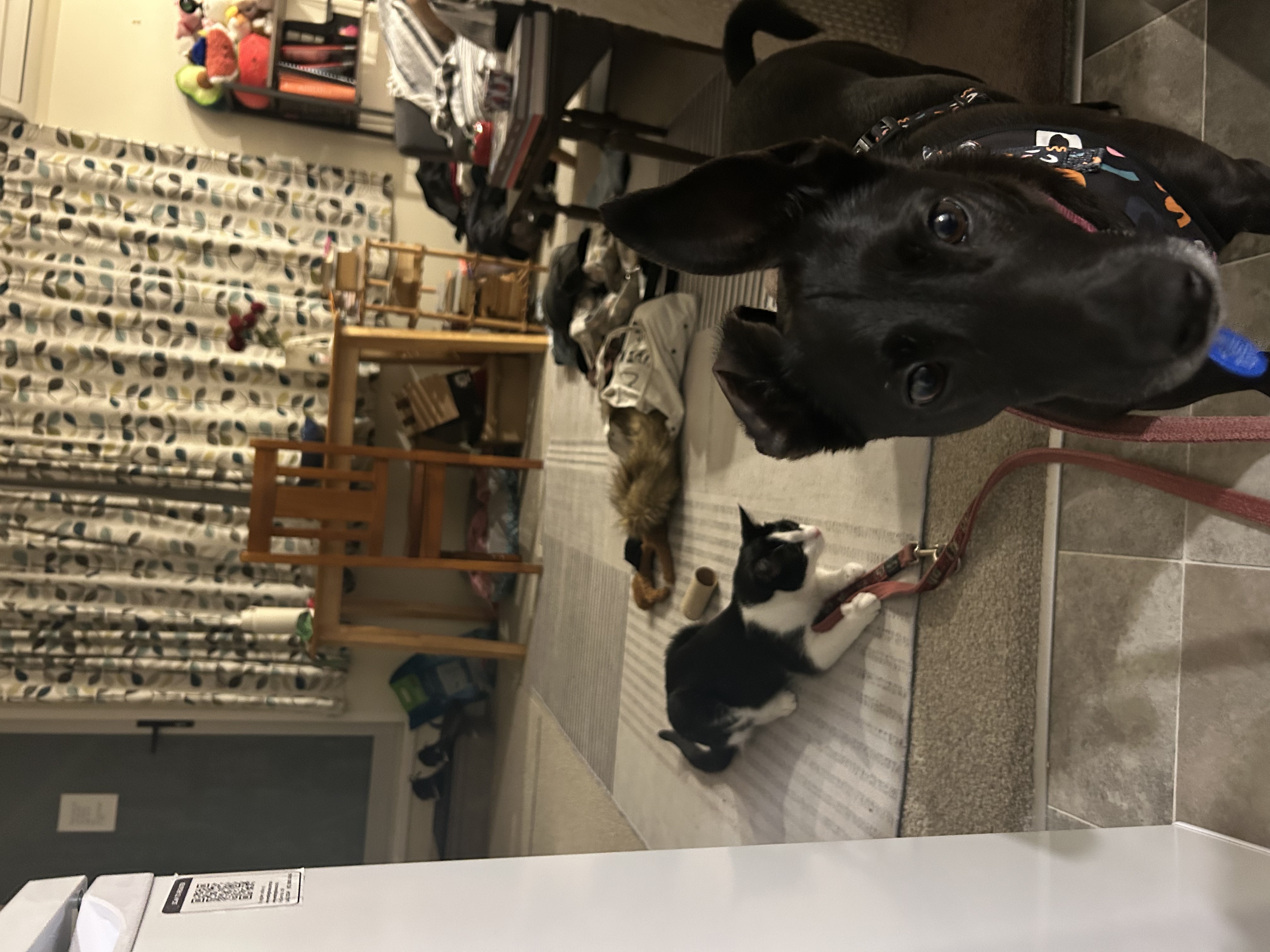 image-10