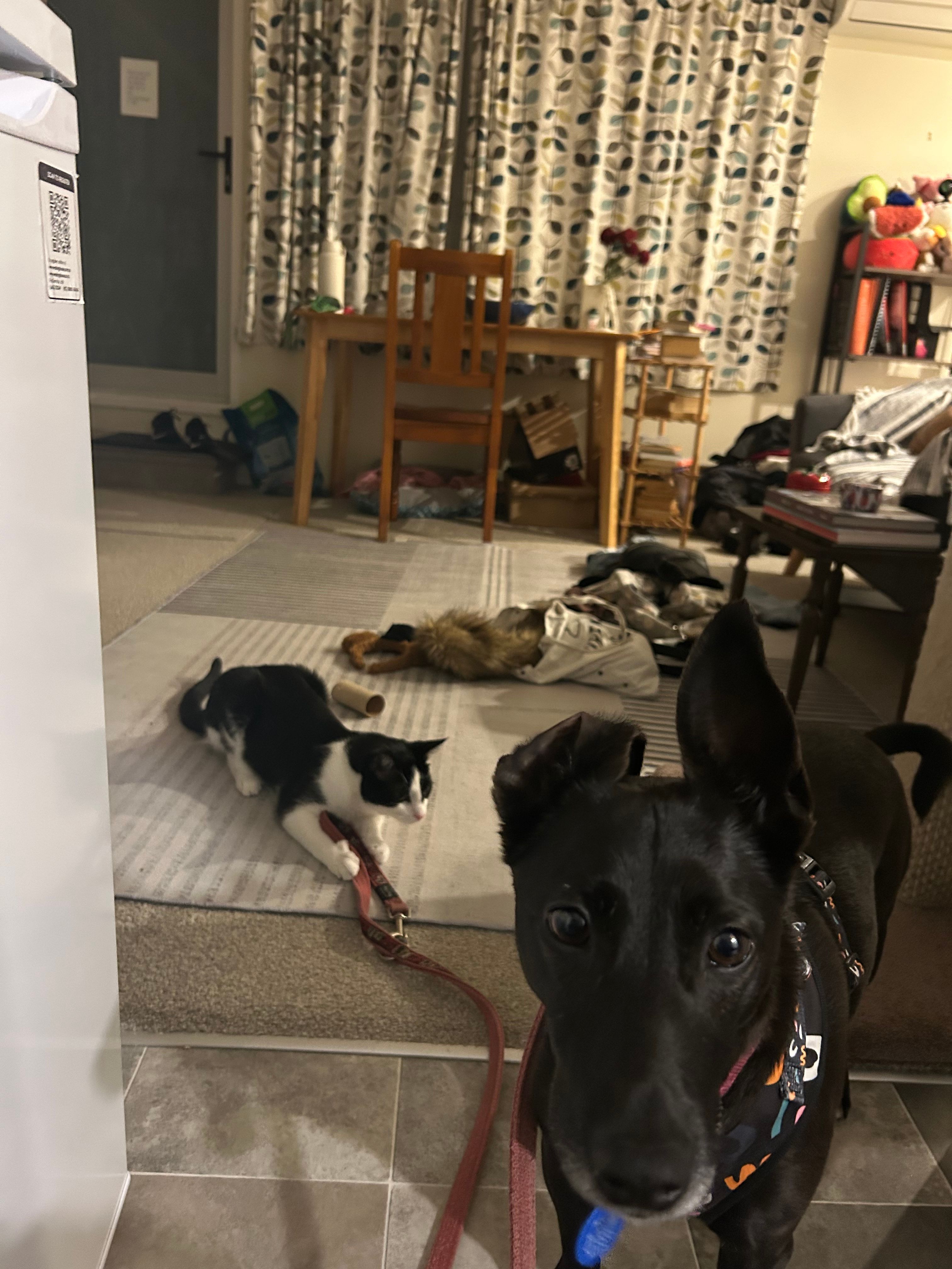 image-10