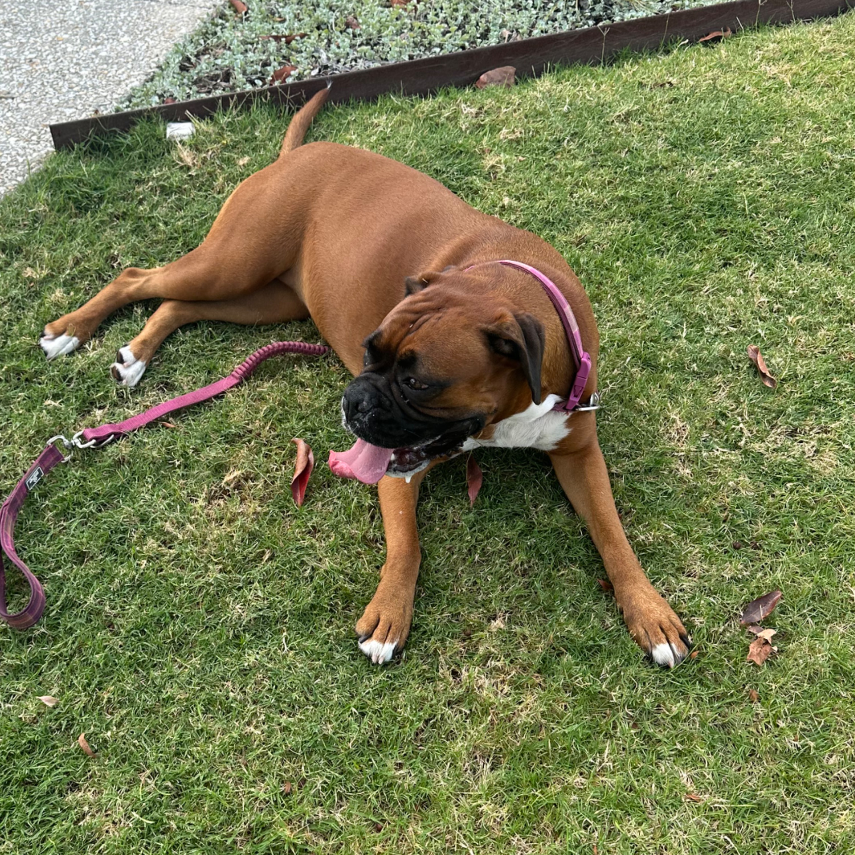 fiona
