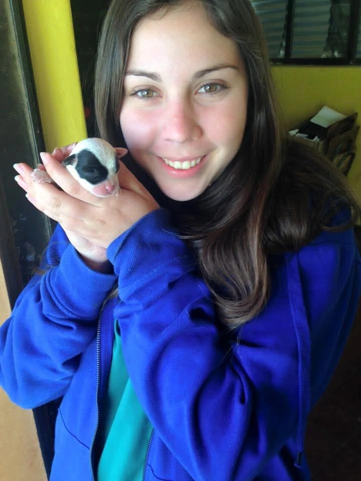 image-7