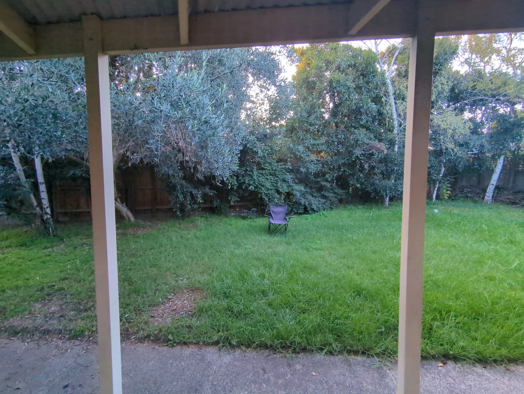 image-19