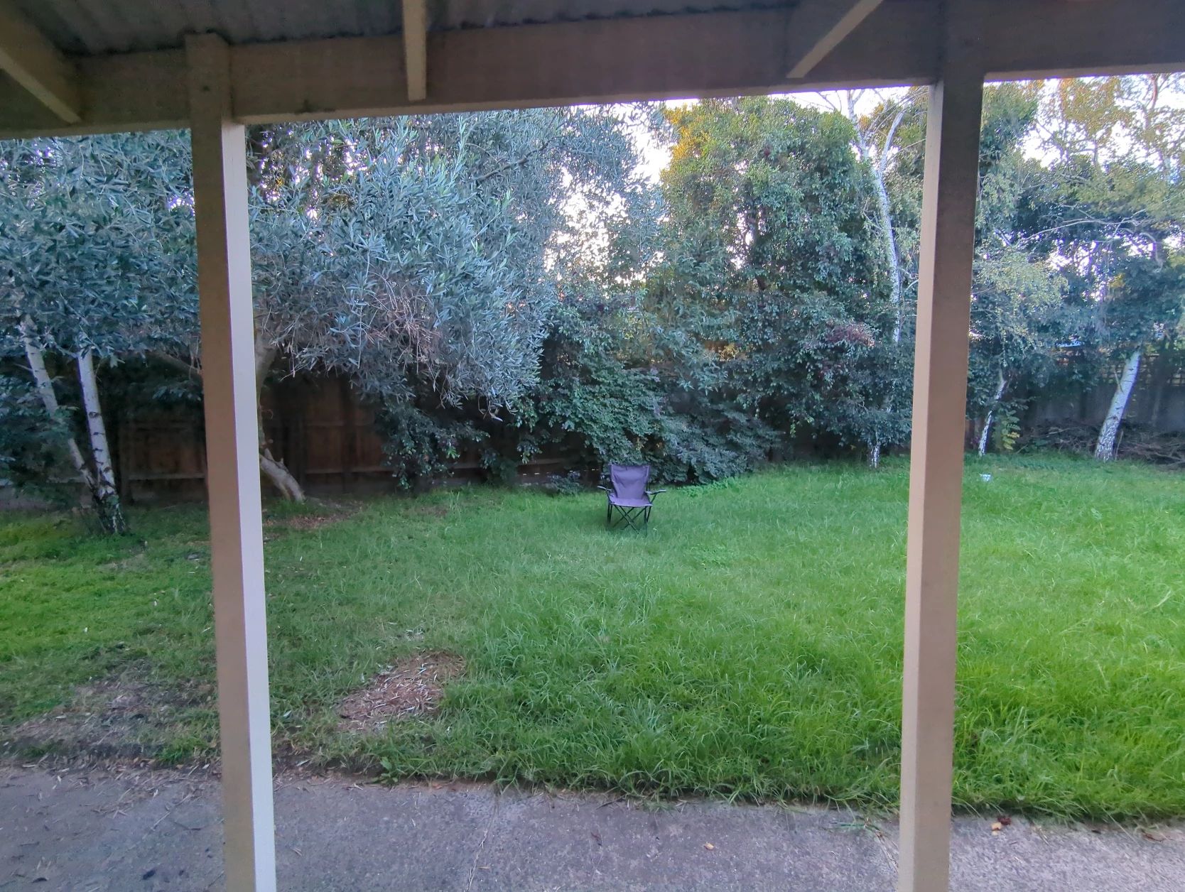 image-19