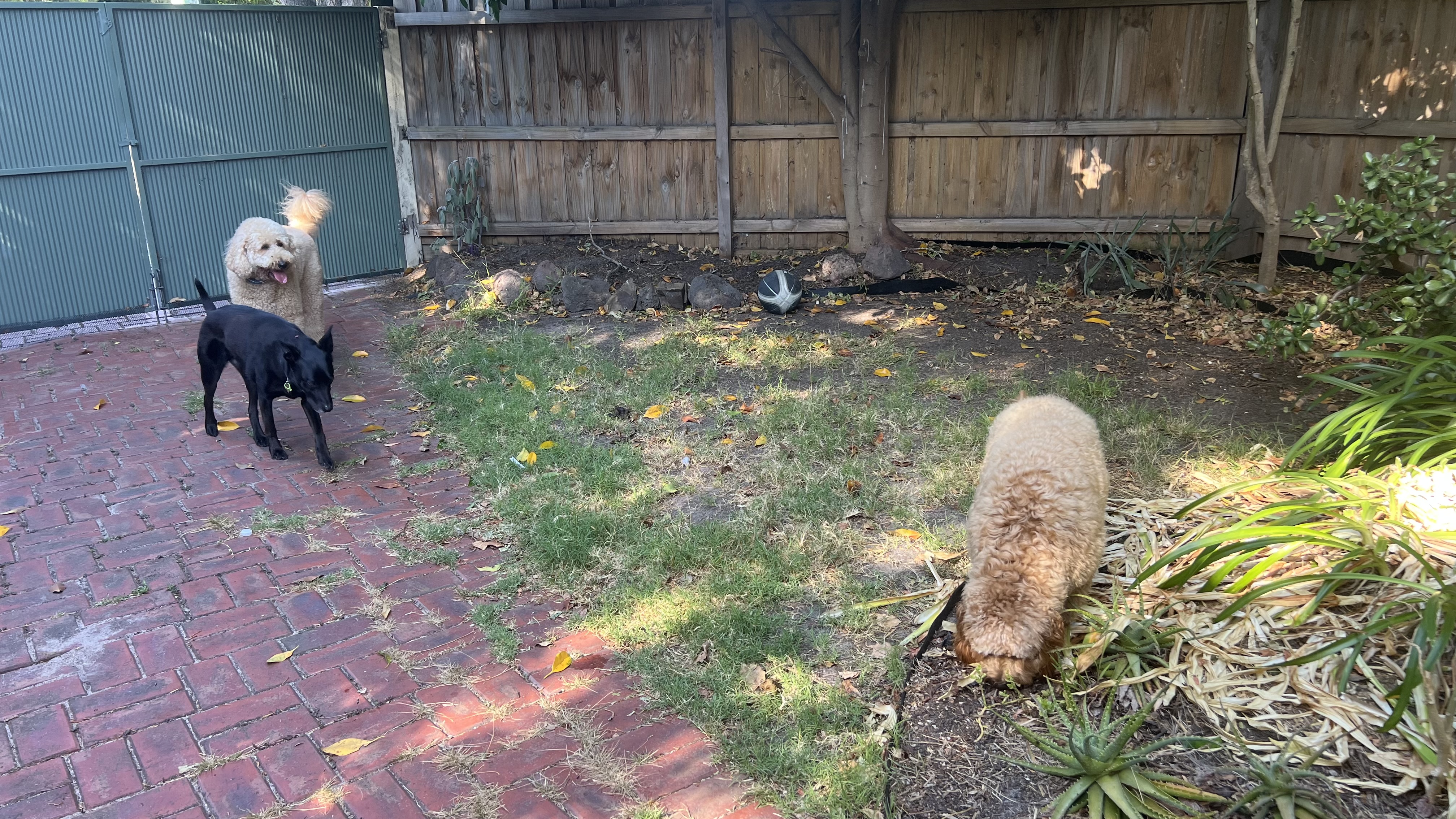 image-18