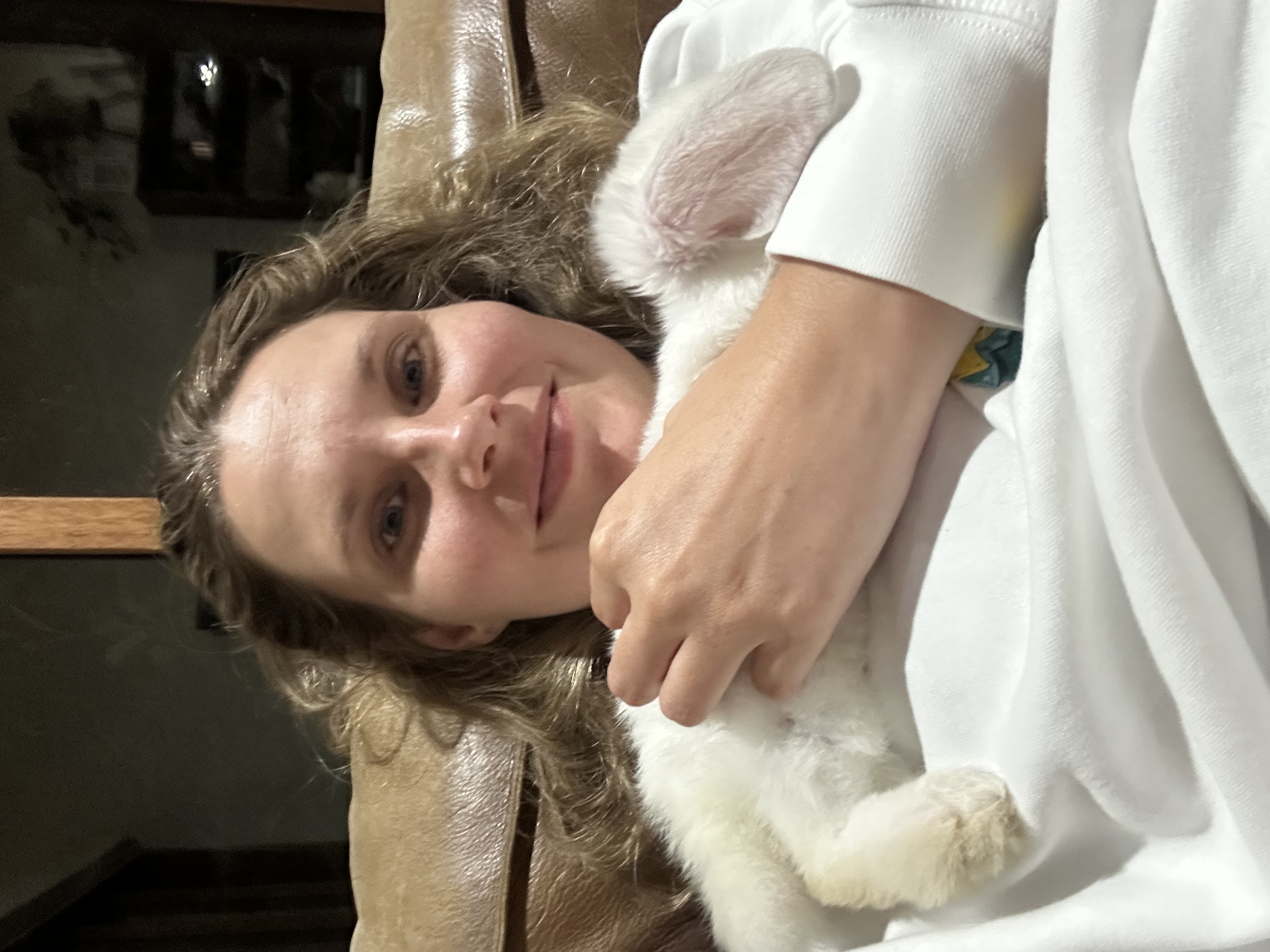 image-5