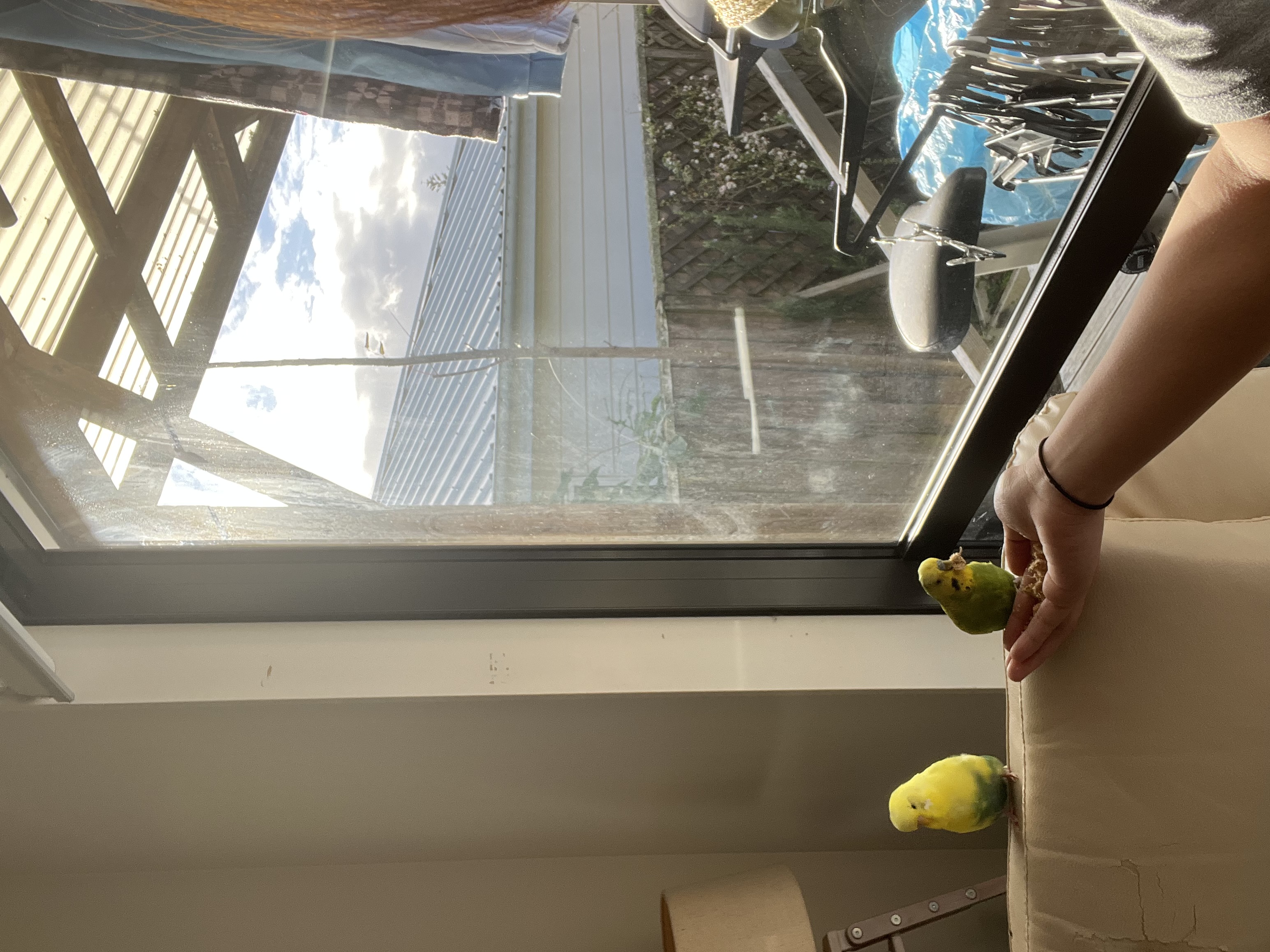 image-9