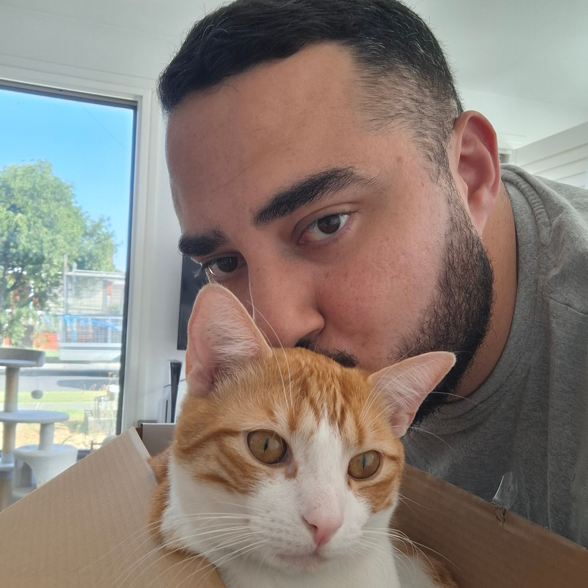 Mujtaba