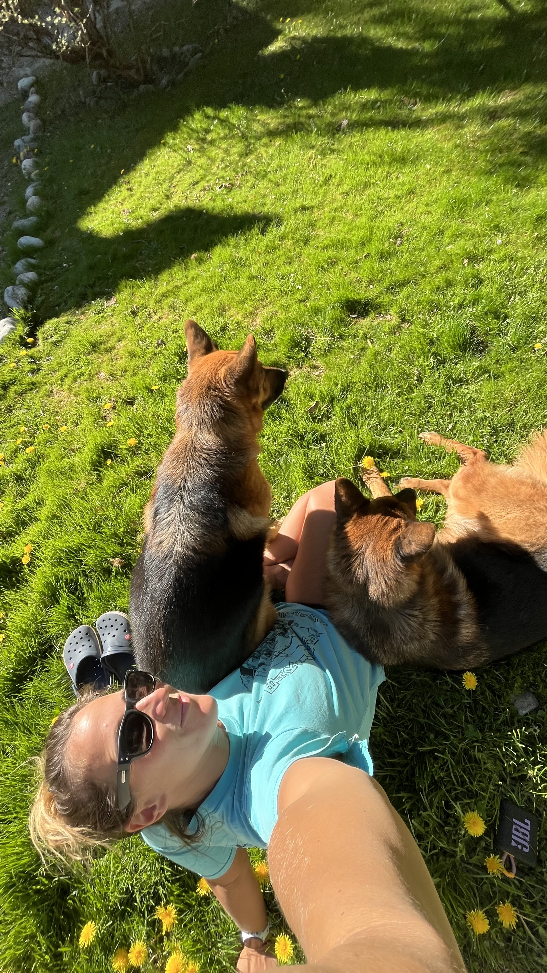 image-6