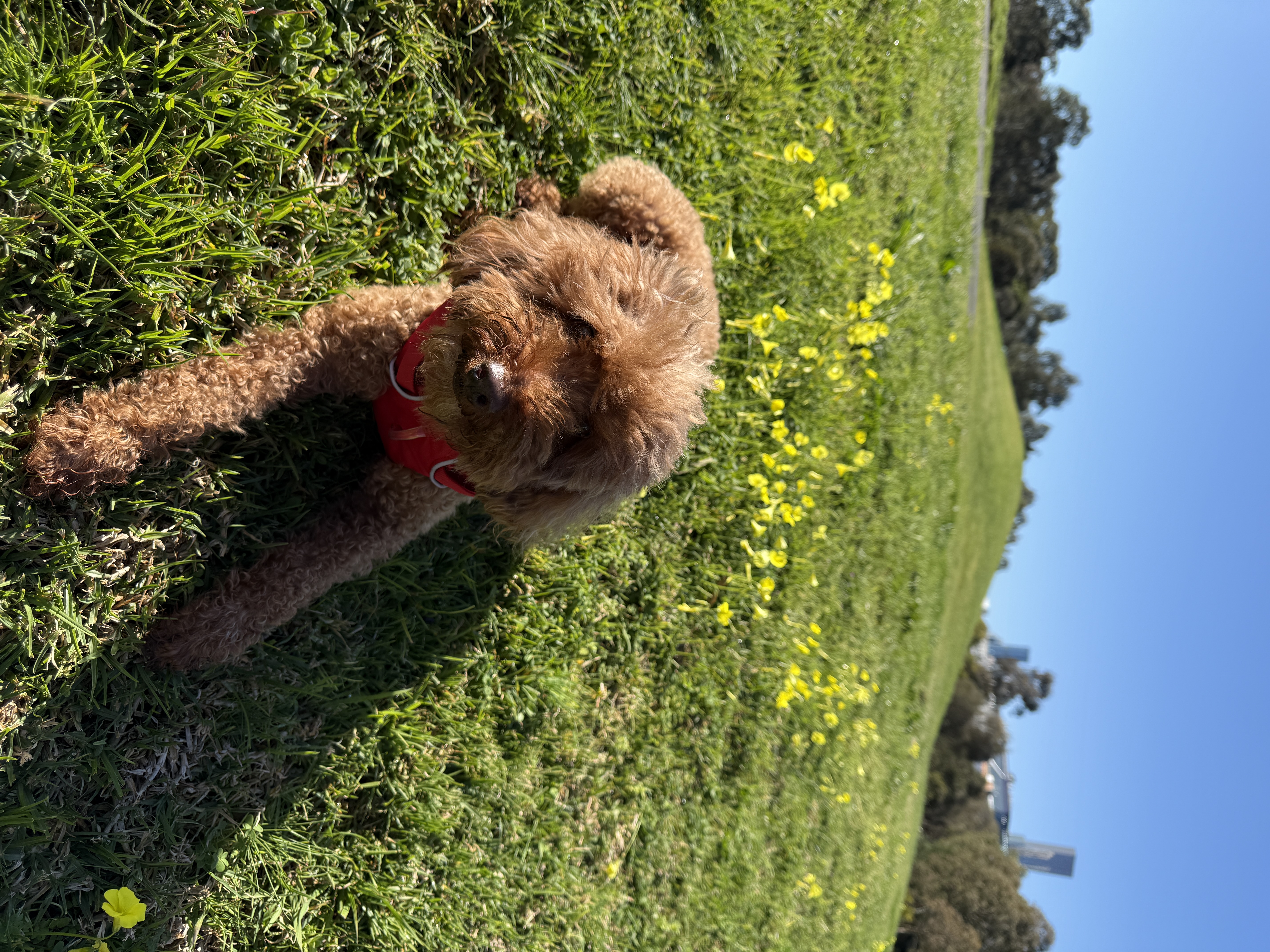 image-2
