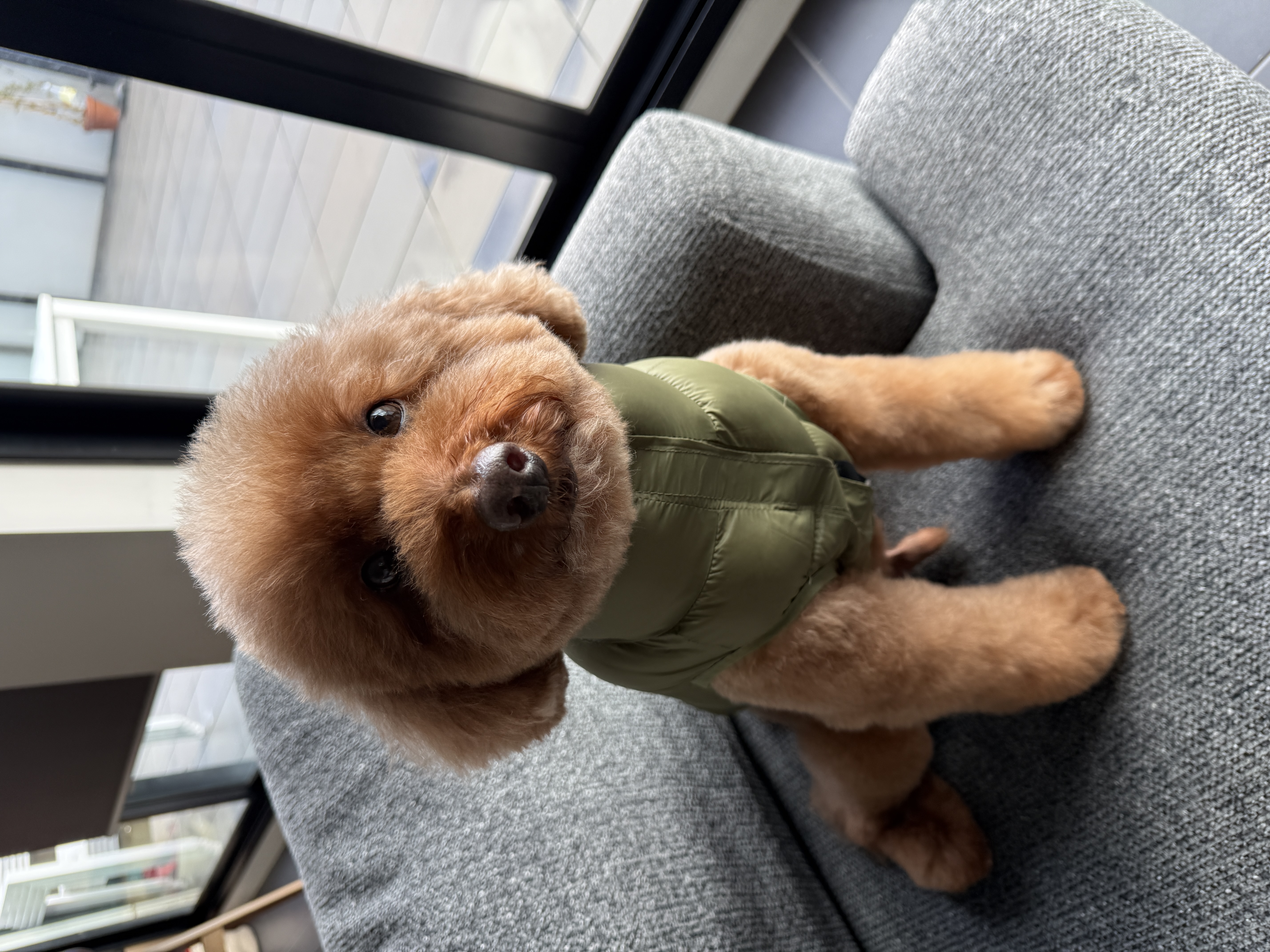 image-8