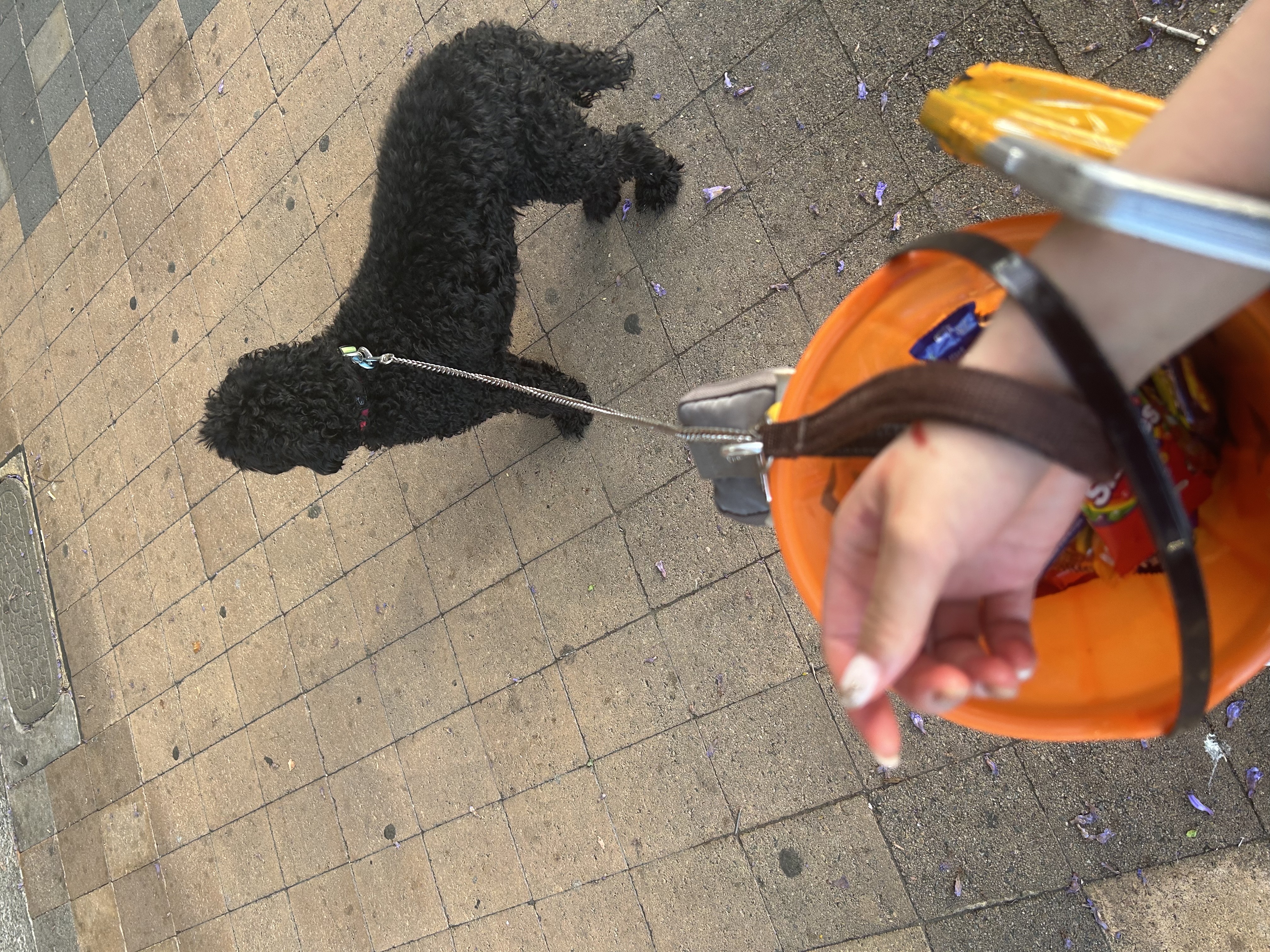 image-7