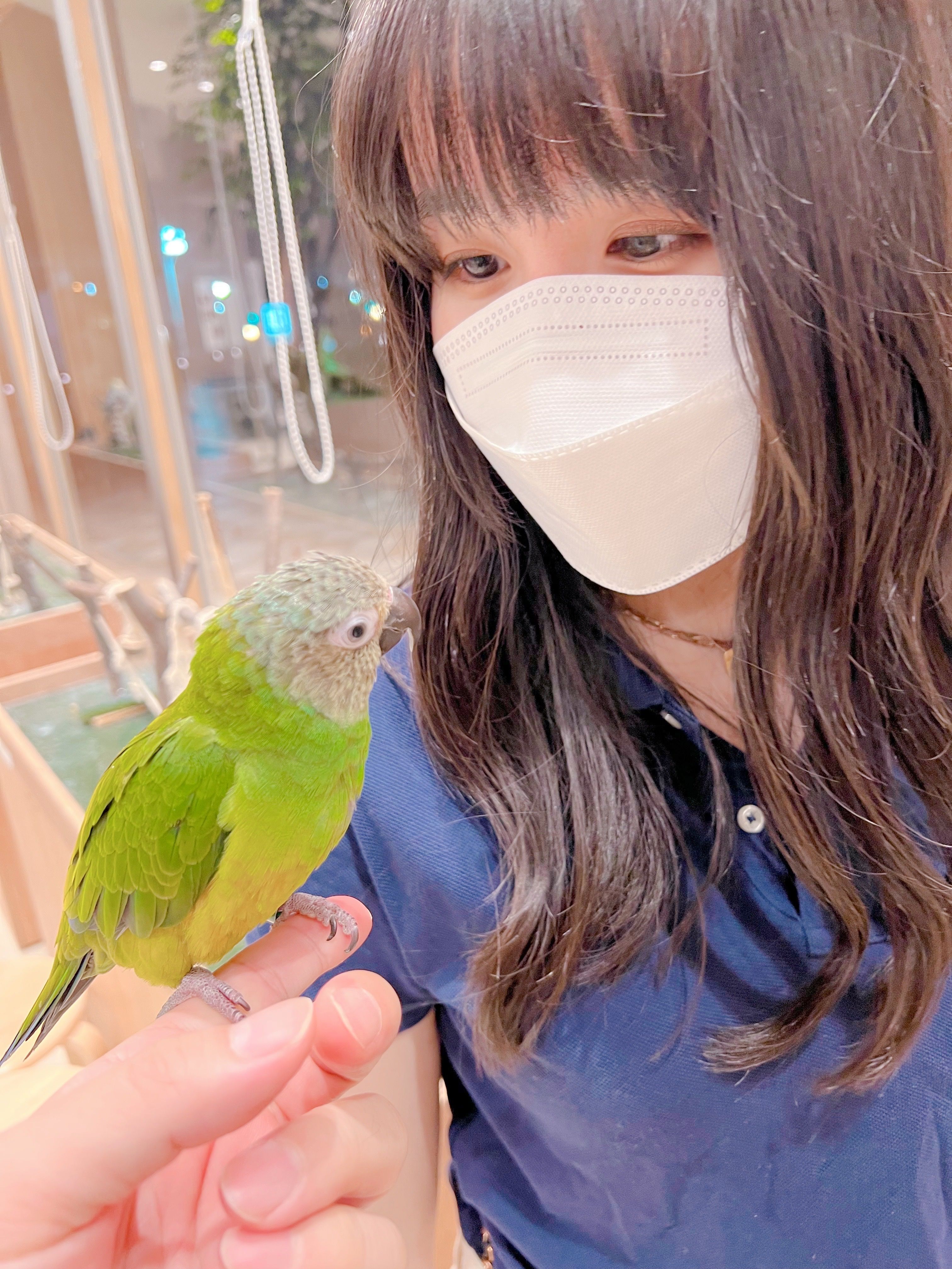 image-16