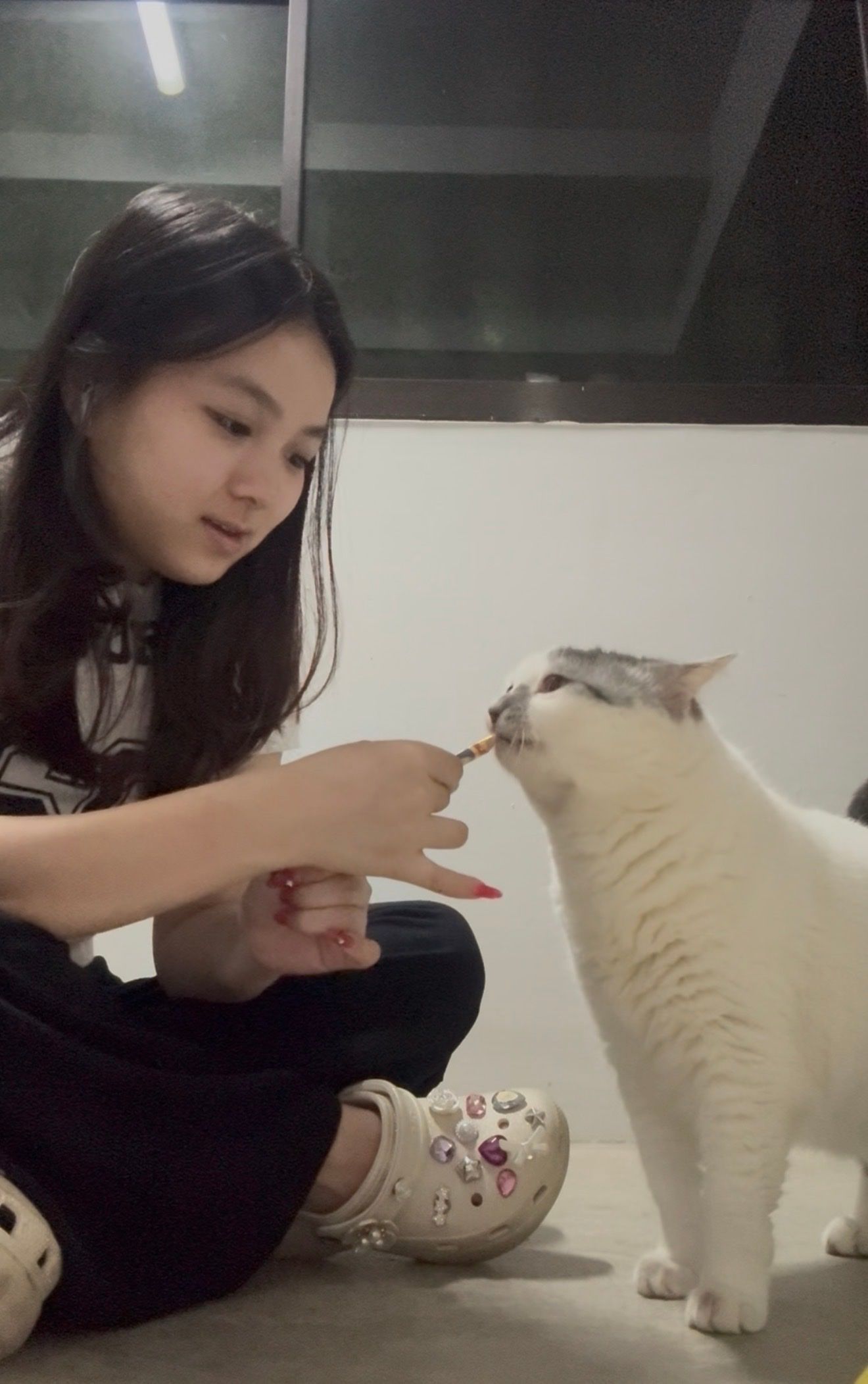 image-4