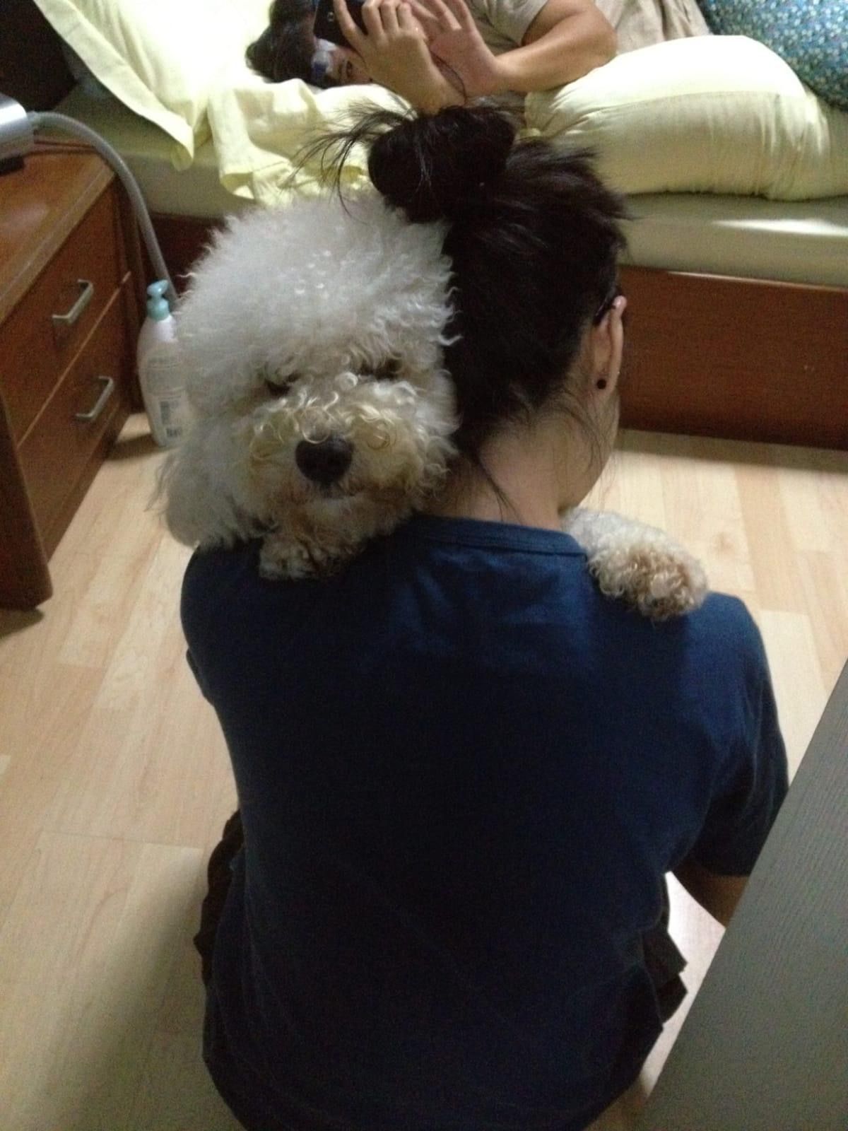 image-5