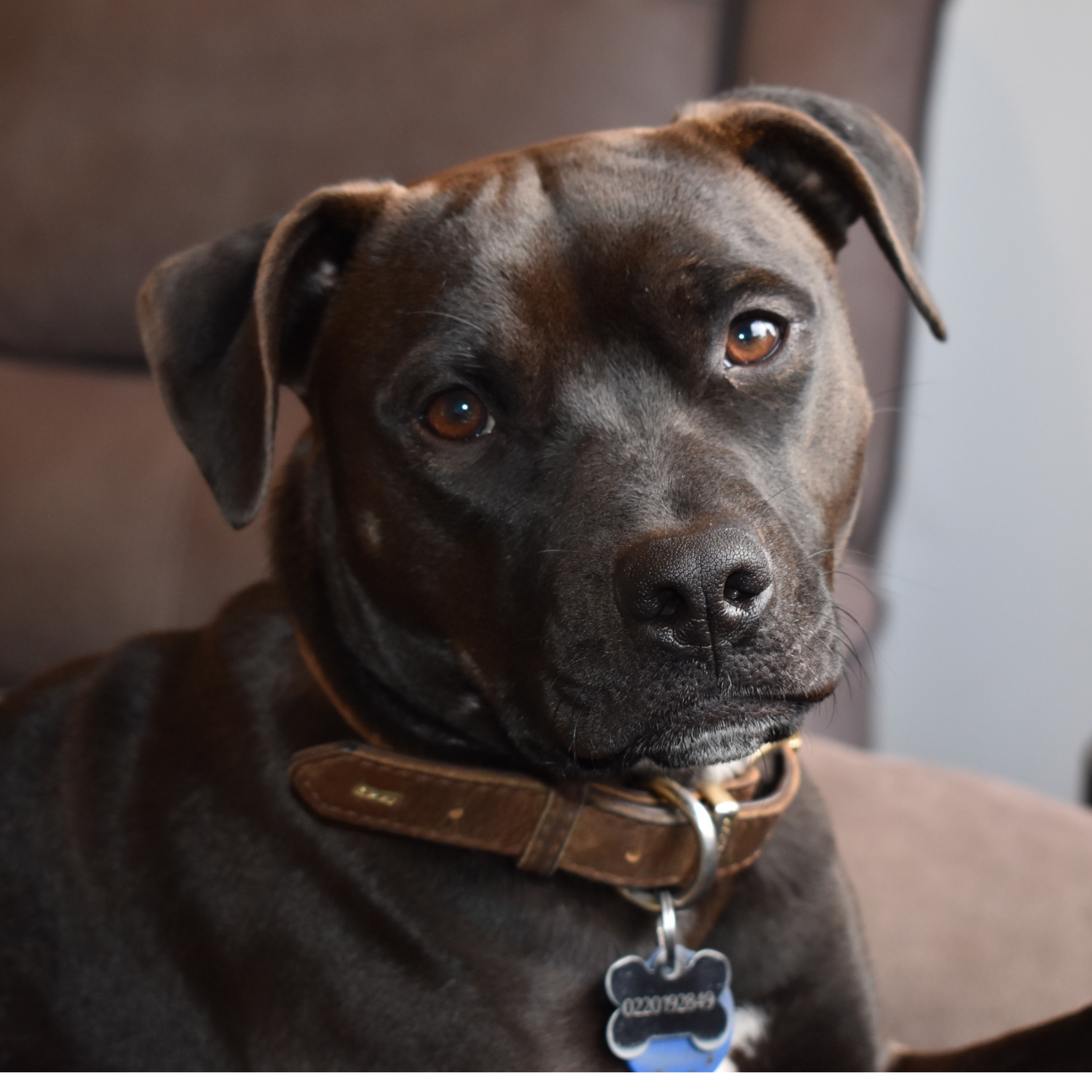 Mika