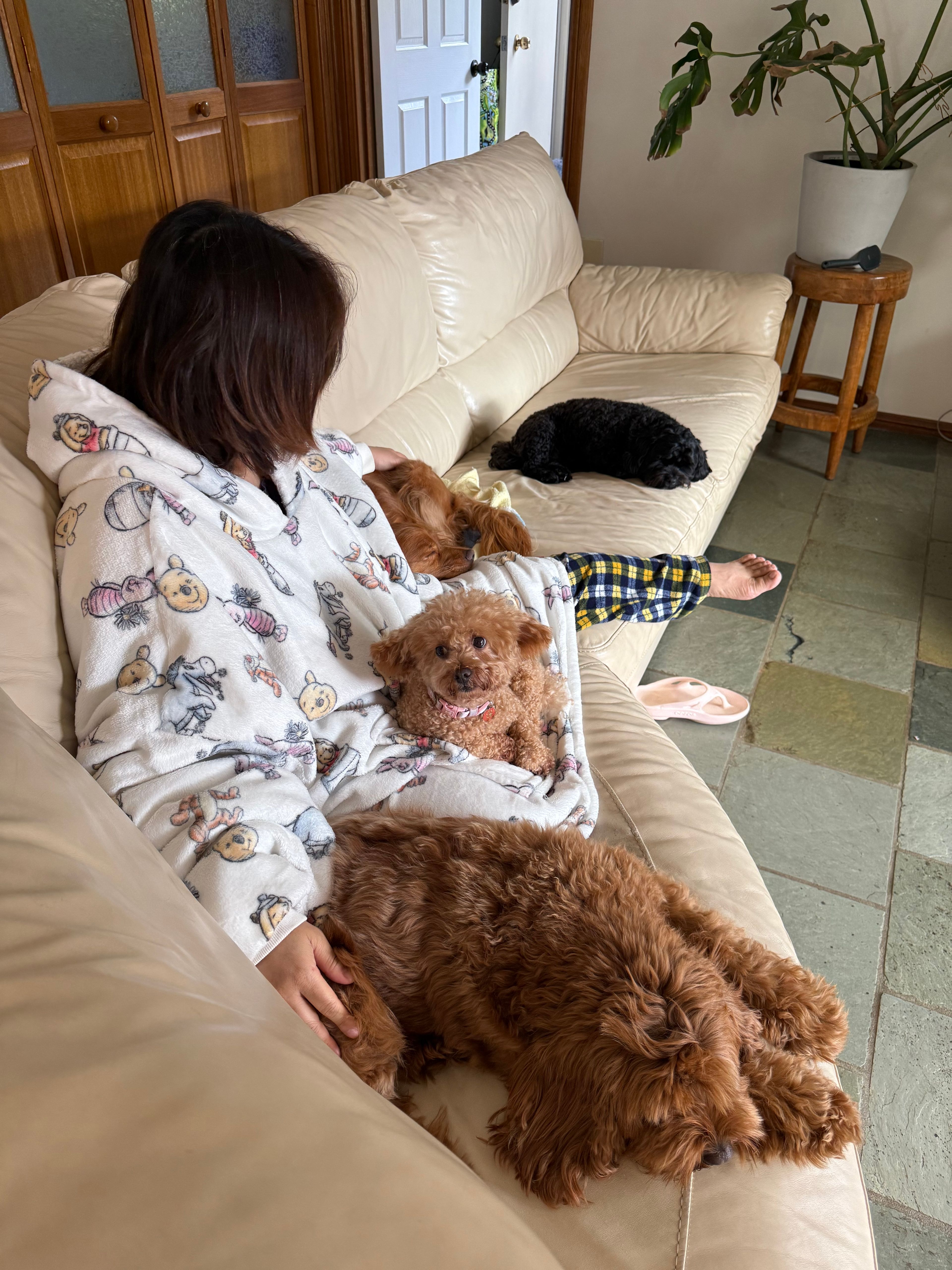 image-2
