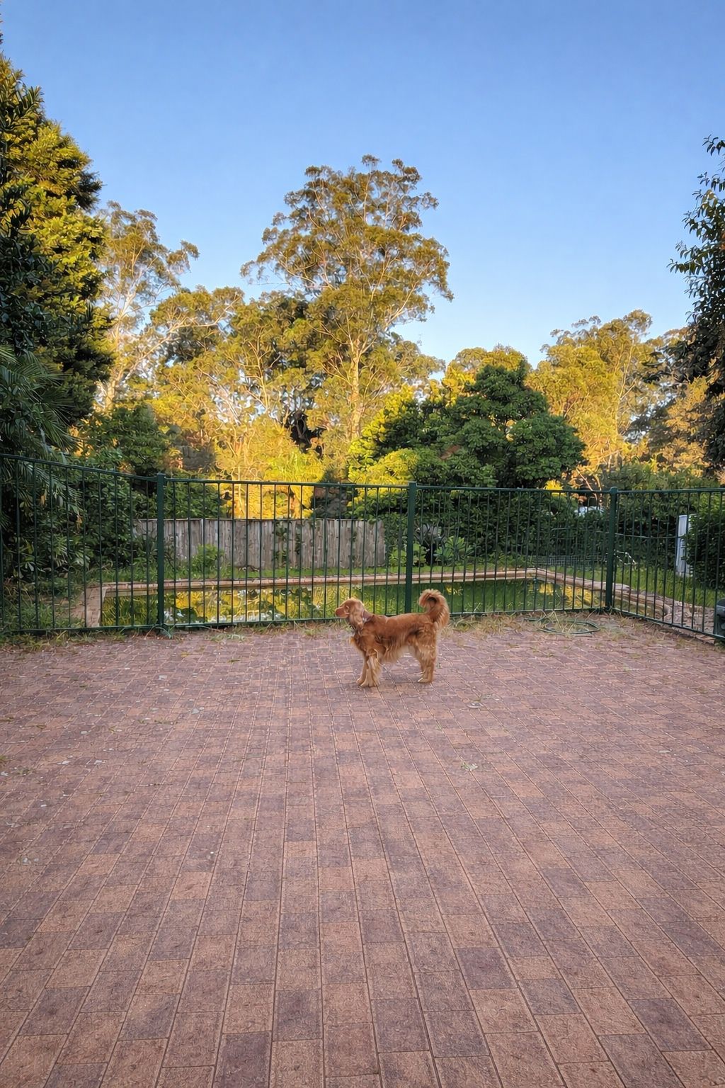 image-4