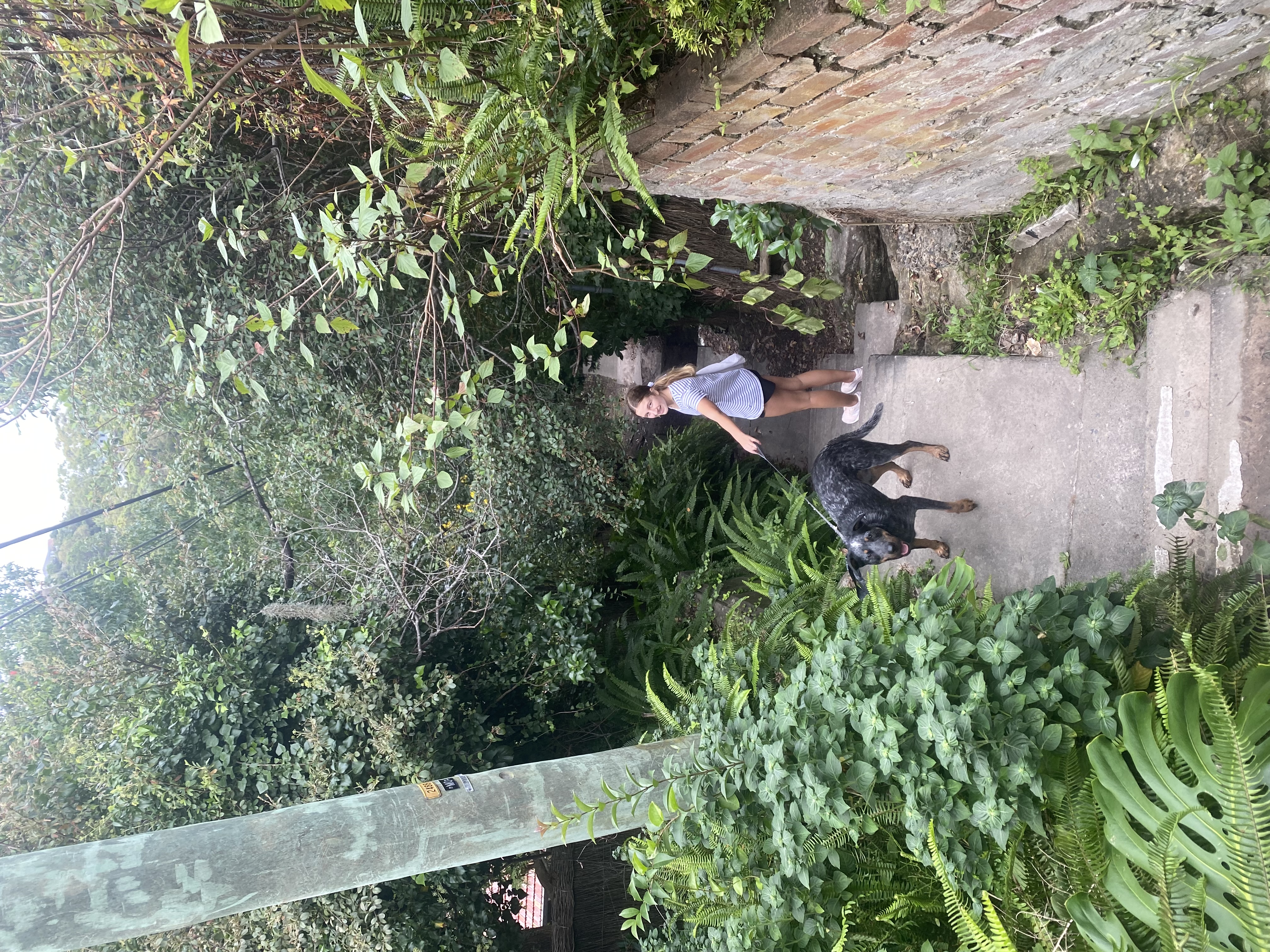 image-4