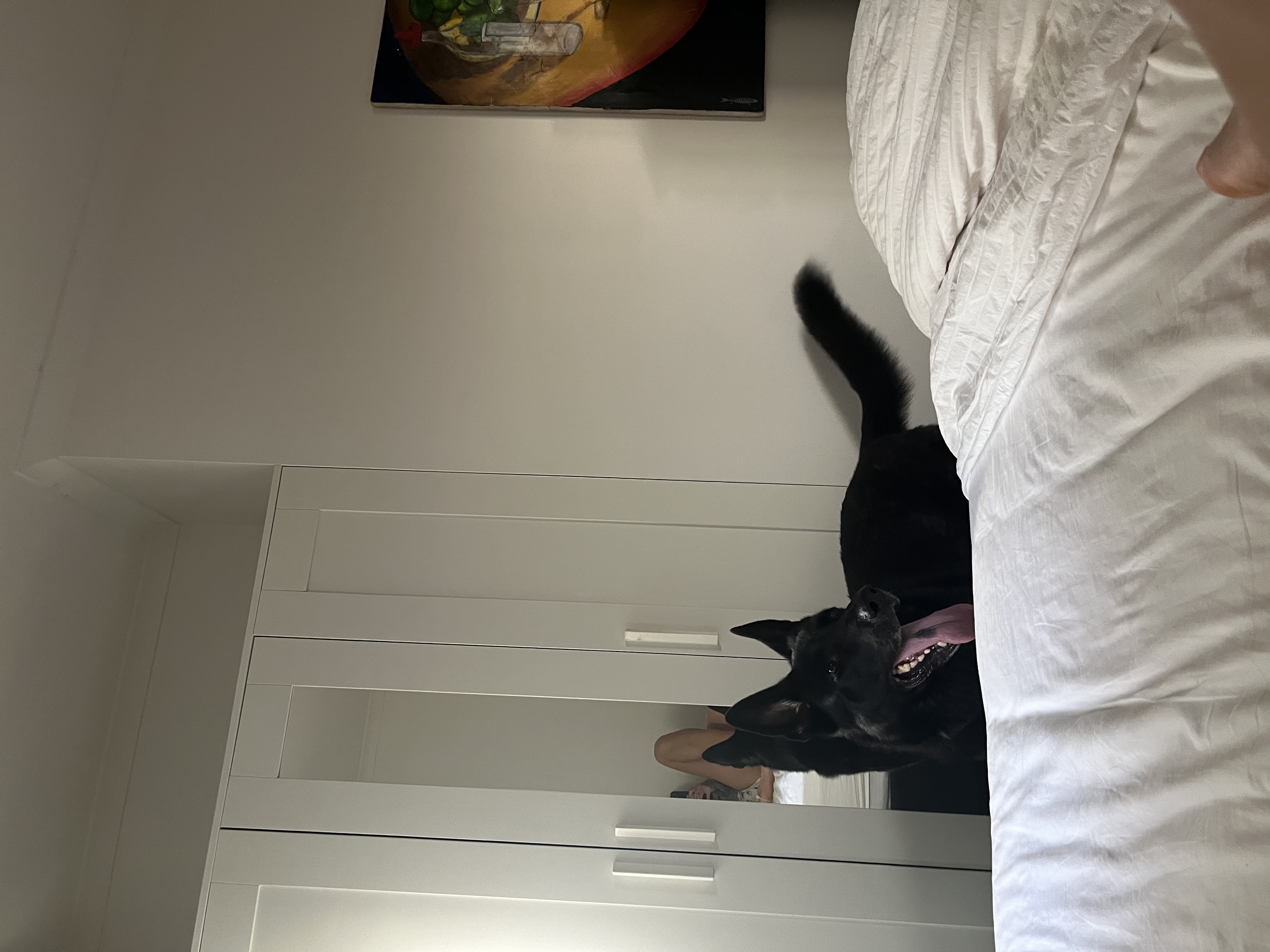 image-10