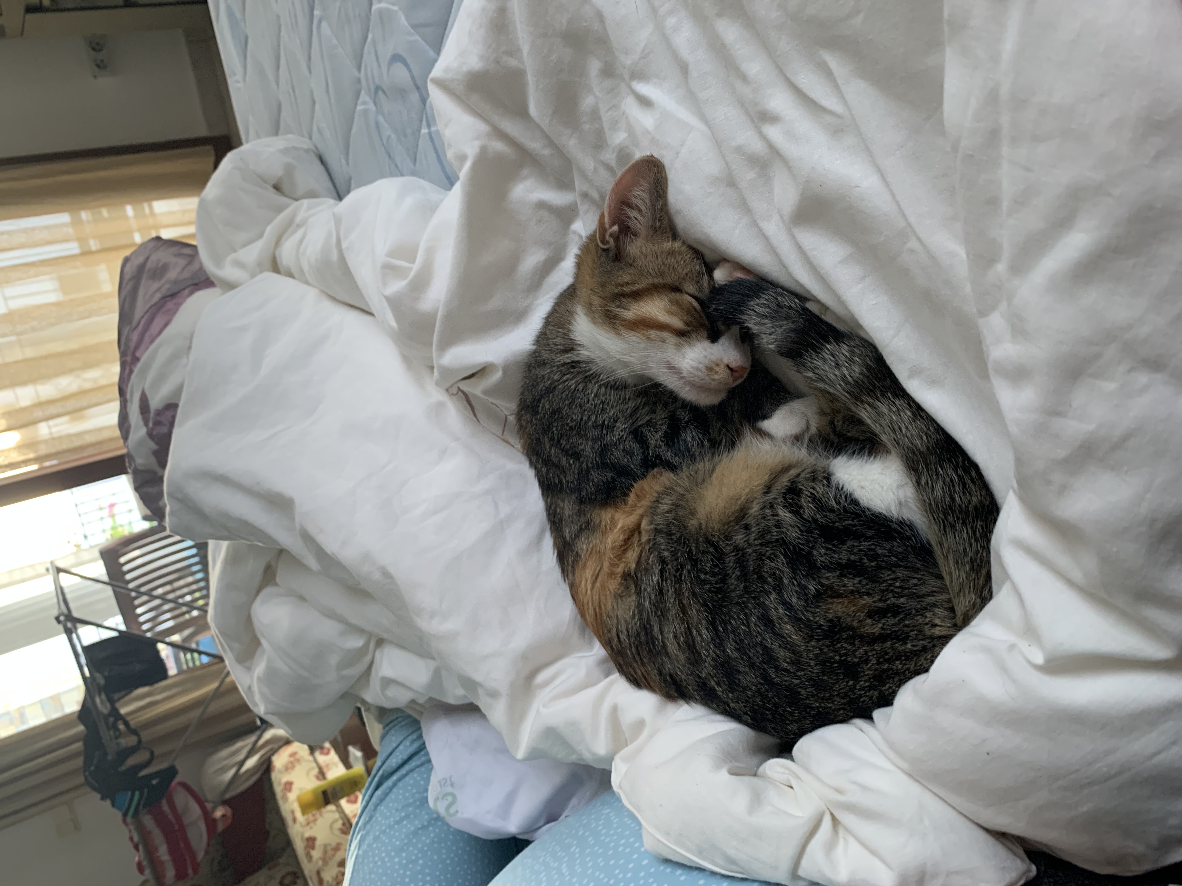 image-5