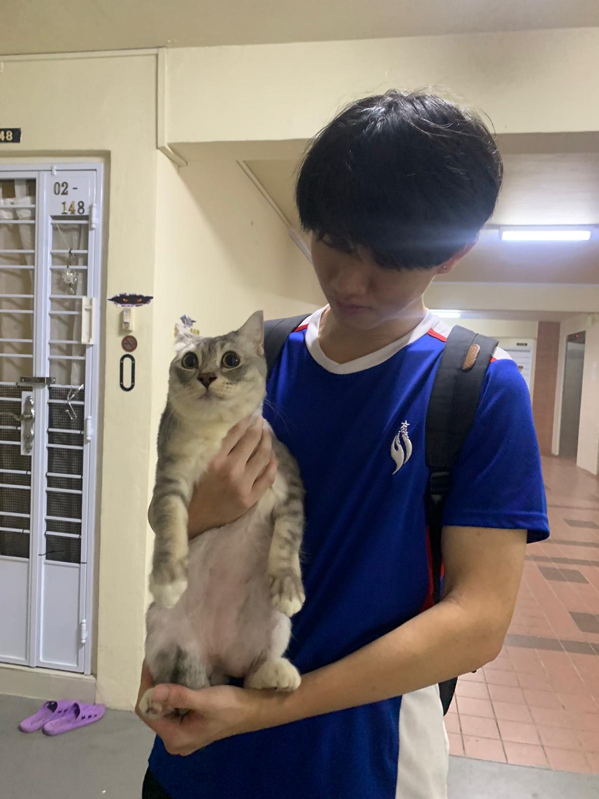 image-7