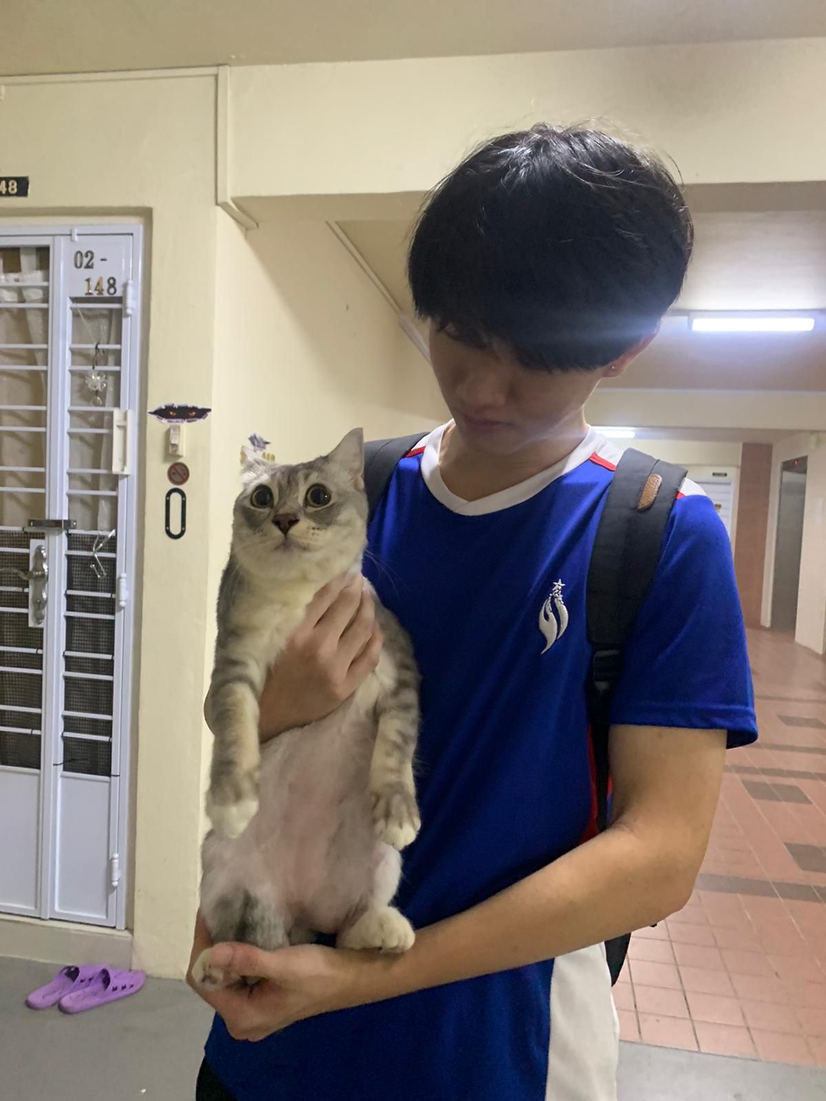 image-7