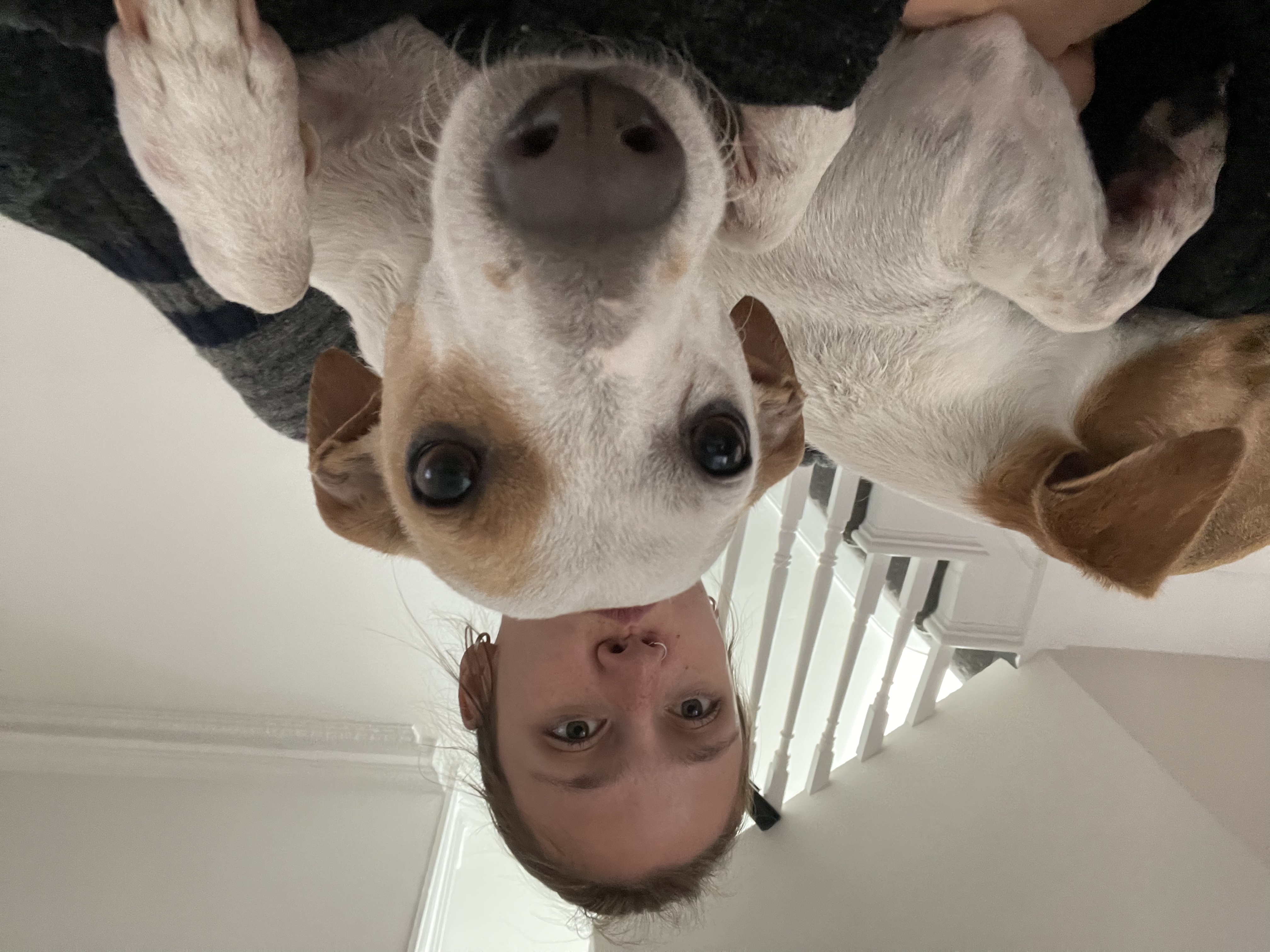 image-0