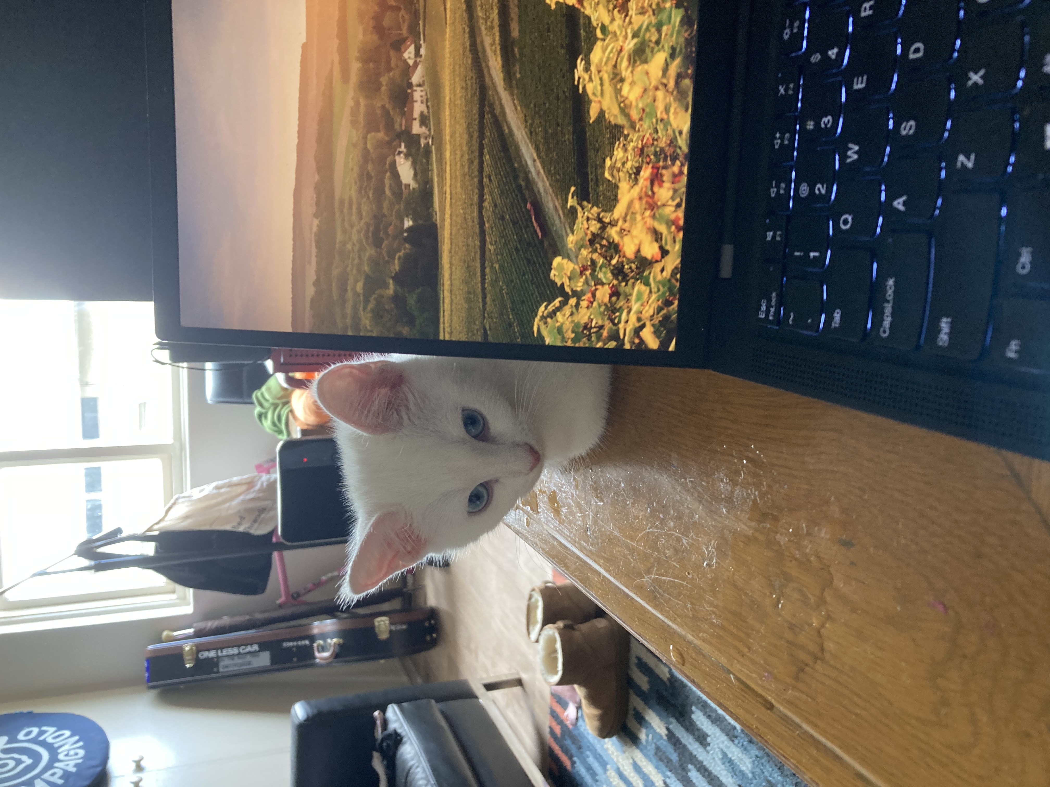 image-9