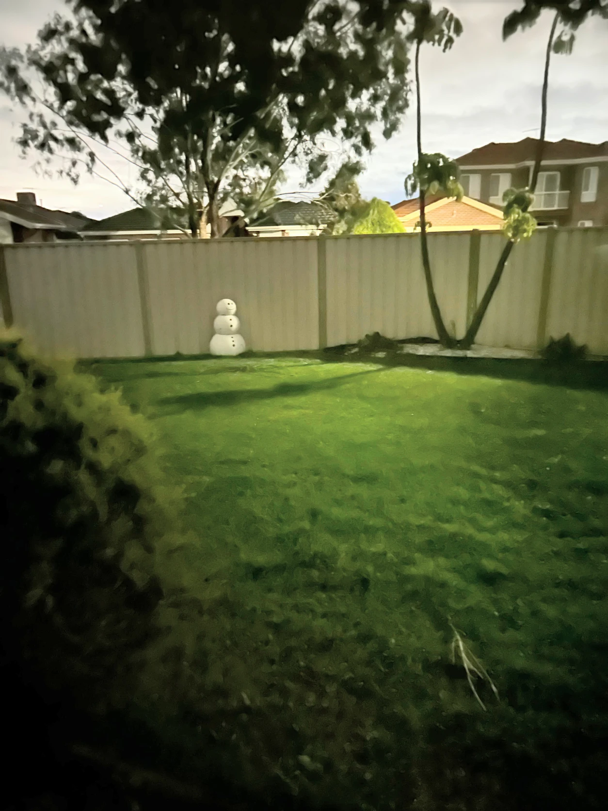 image-15