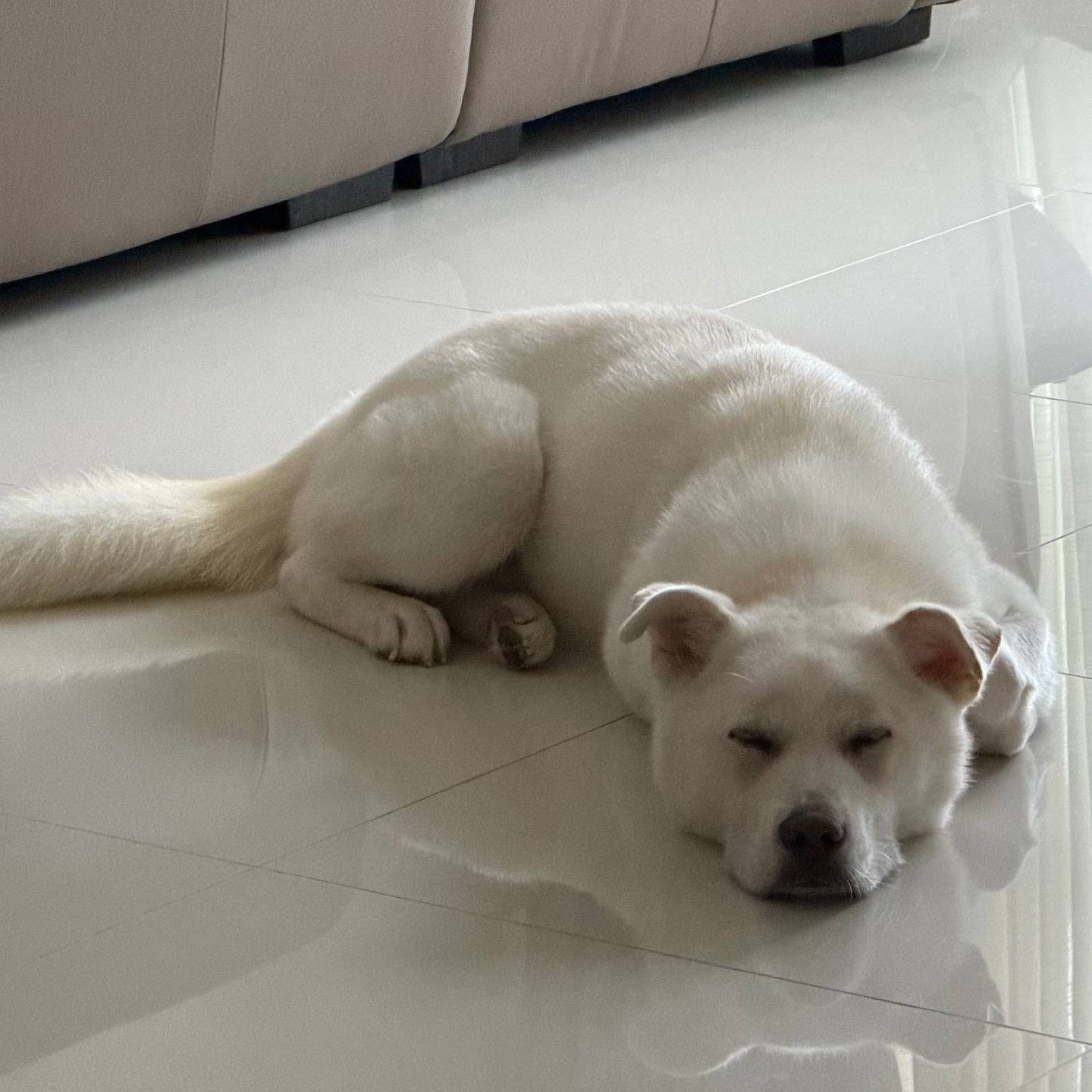 polar