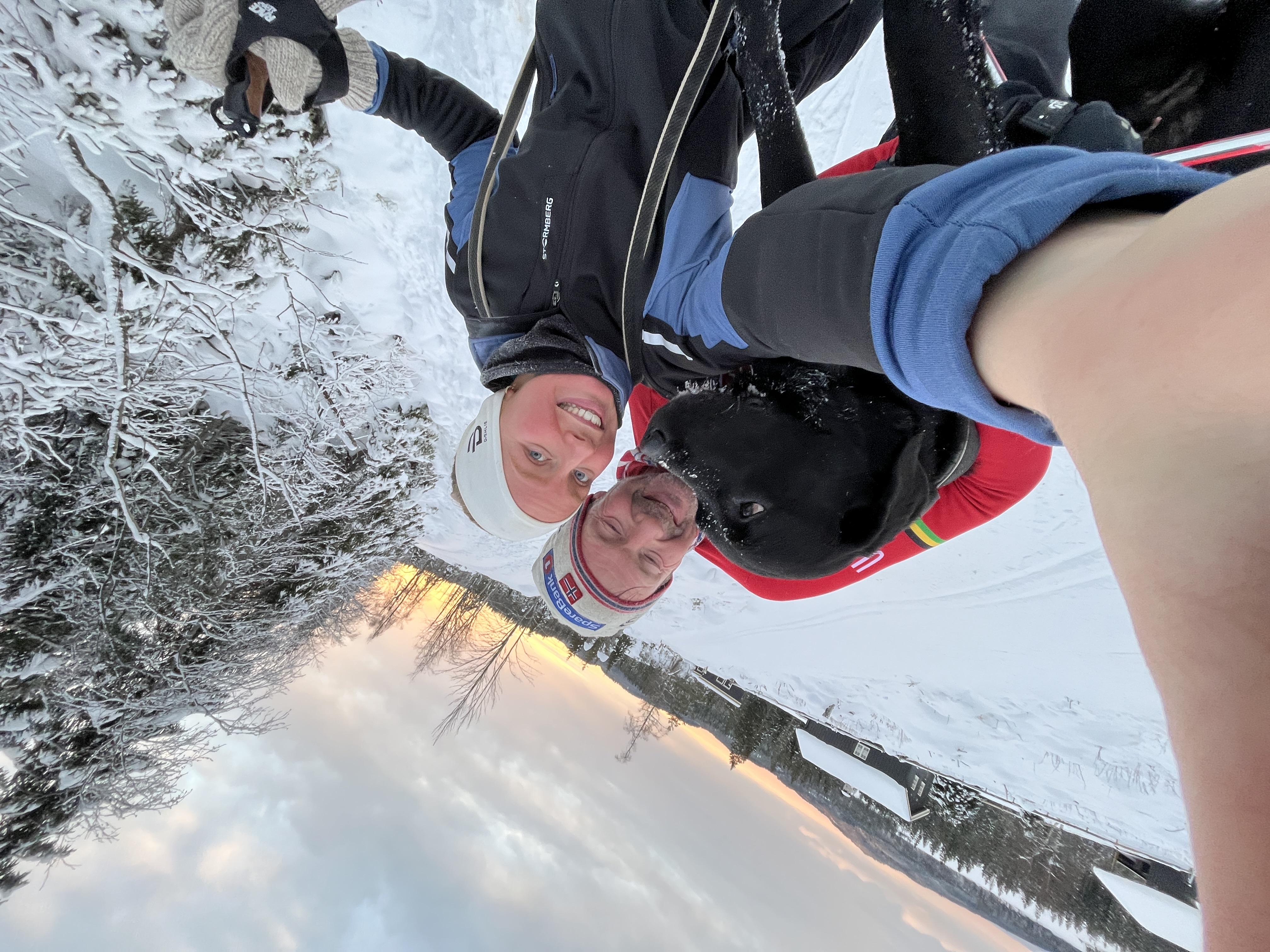 image-7