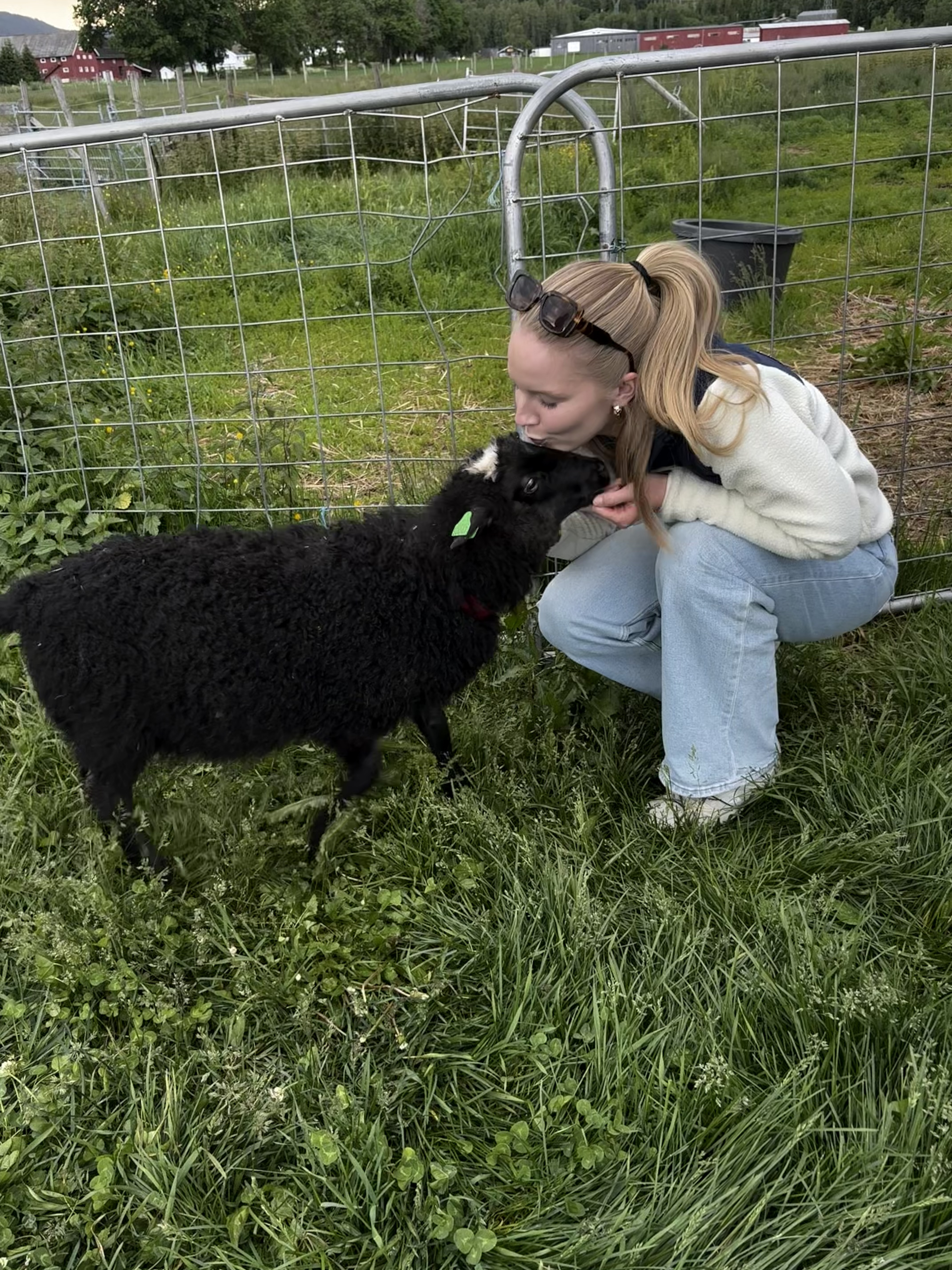 image-2