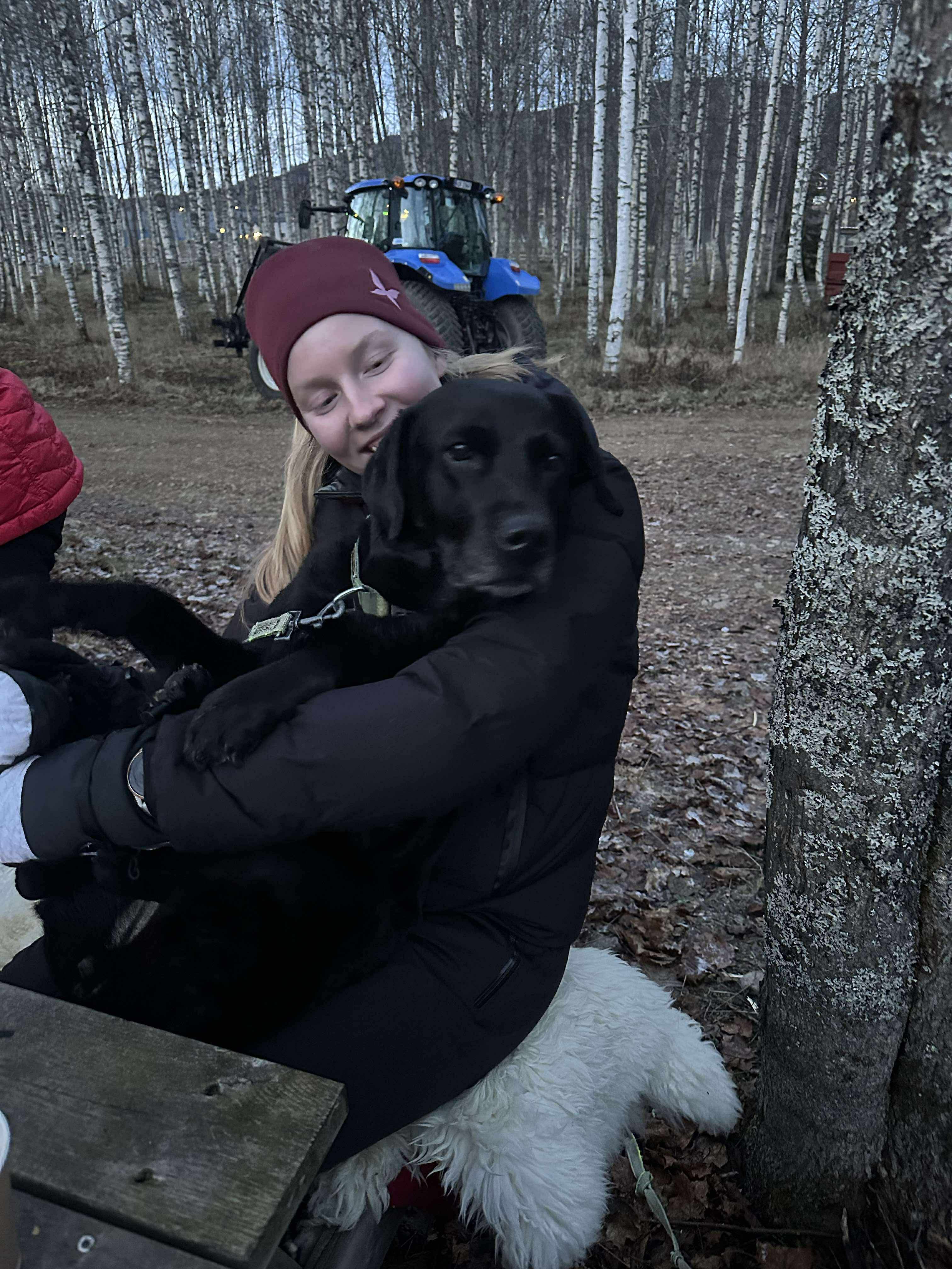 image-8