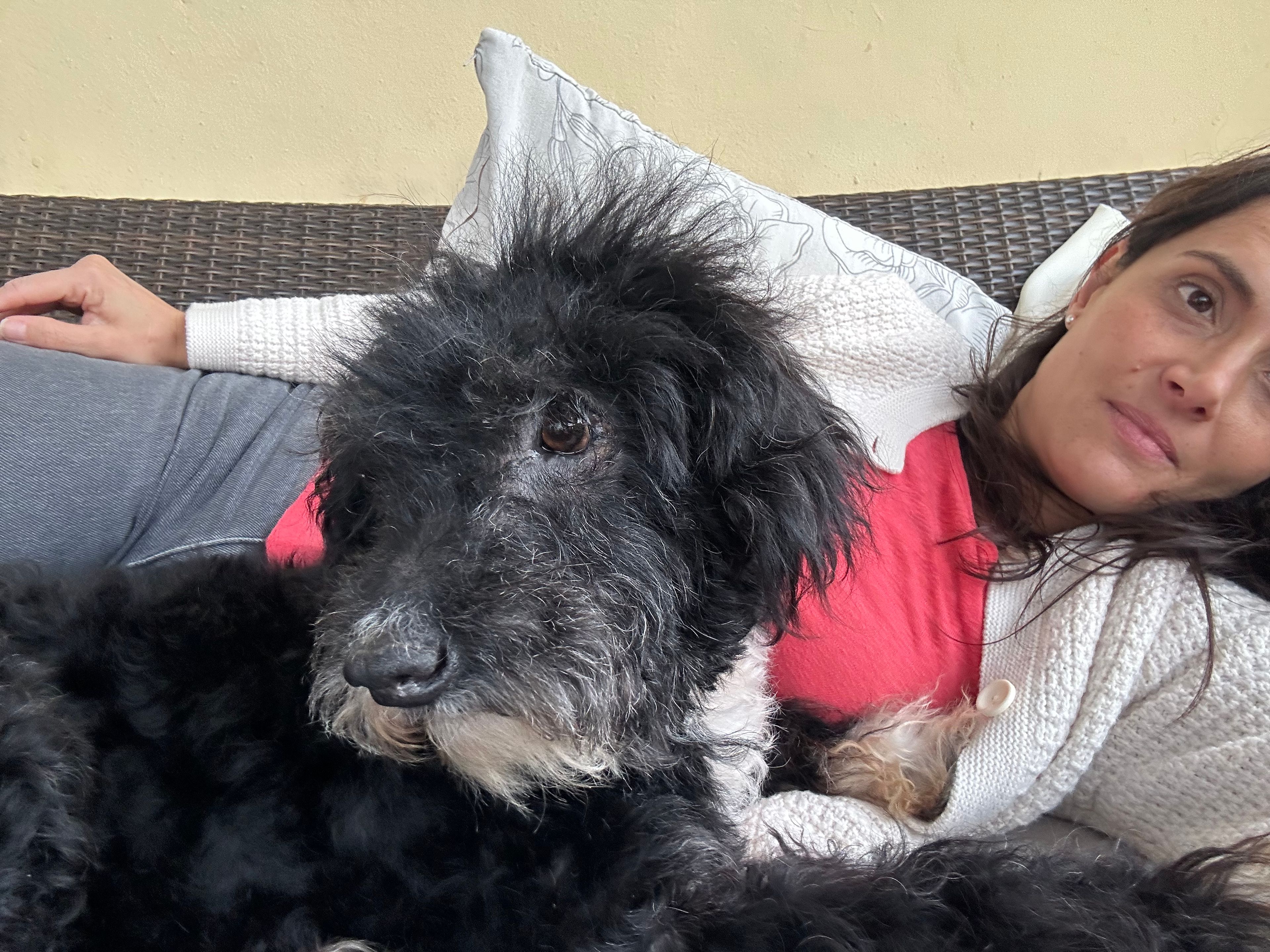 image-3
