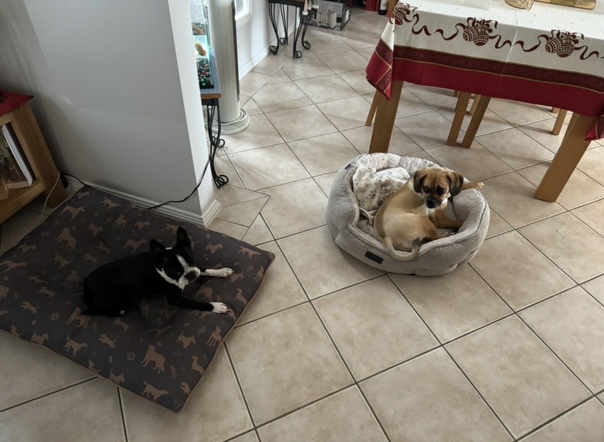 image-6
