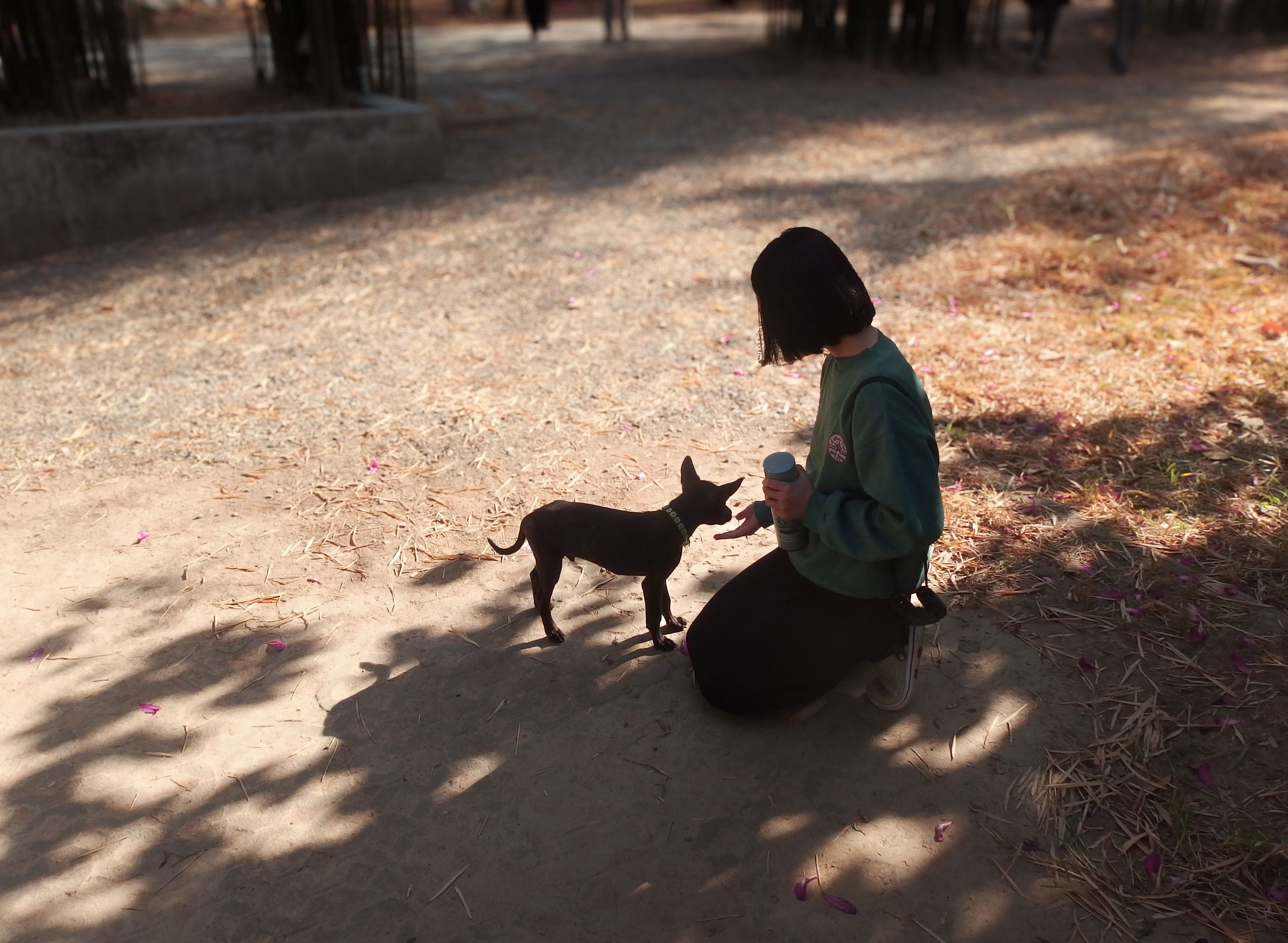 image-7