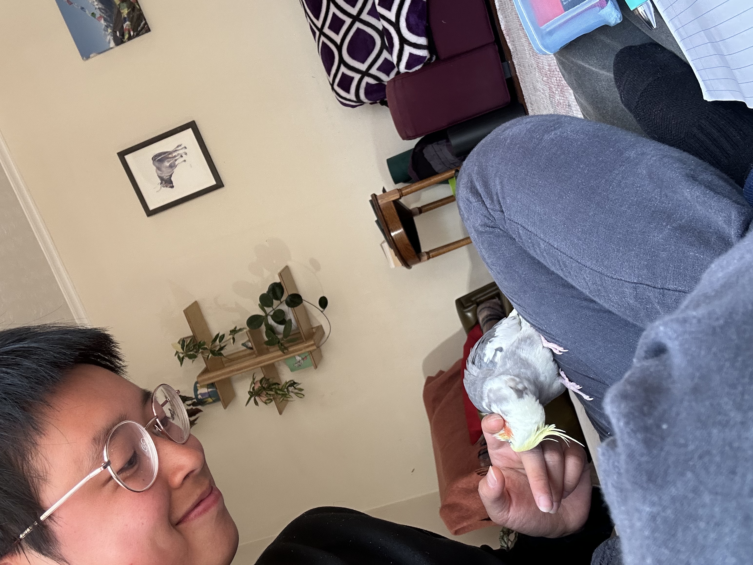 image-4