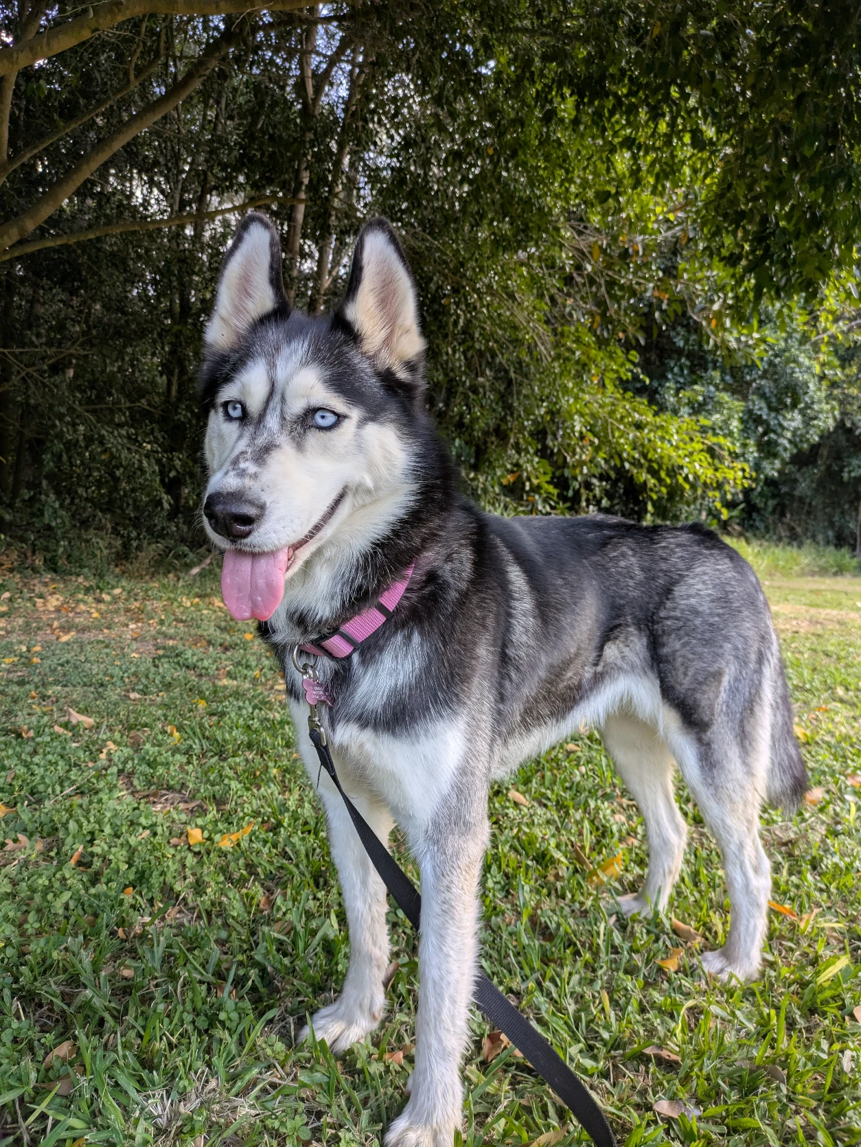 image-6