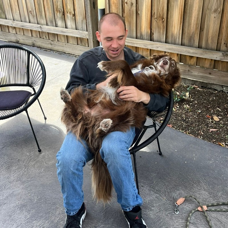 Dan
