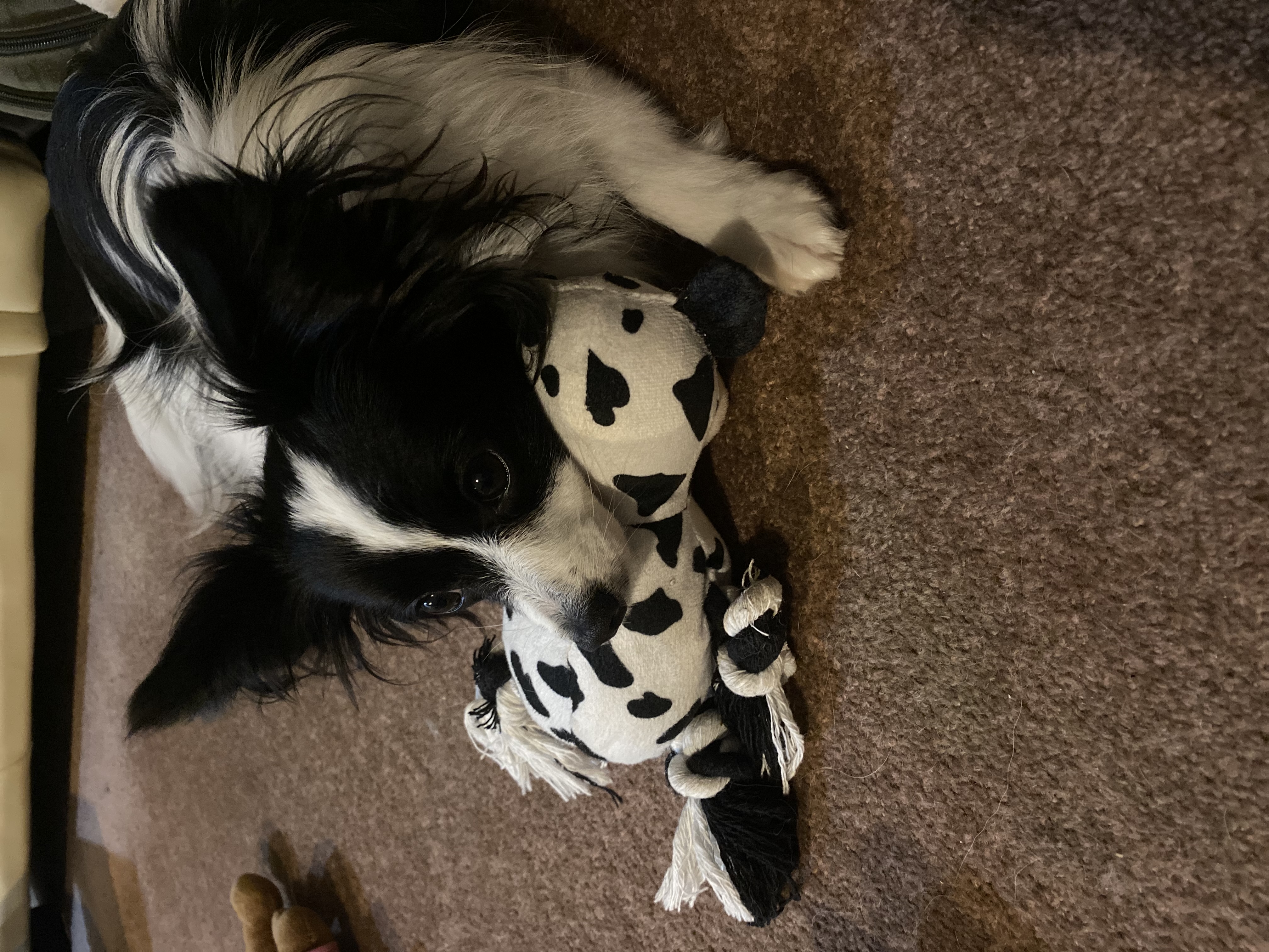 image-9