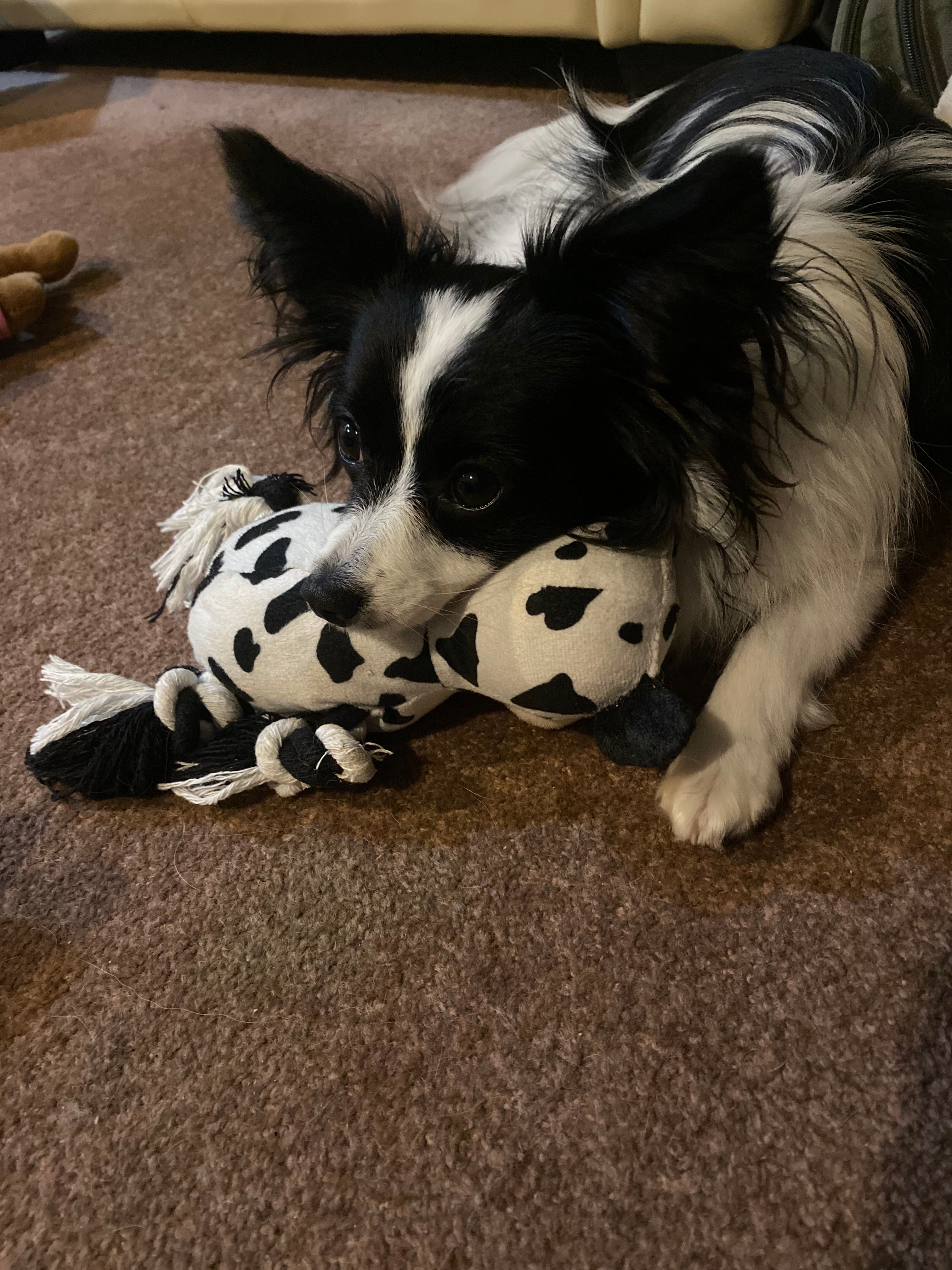 image-9