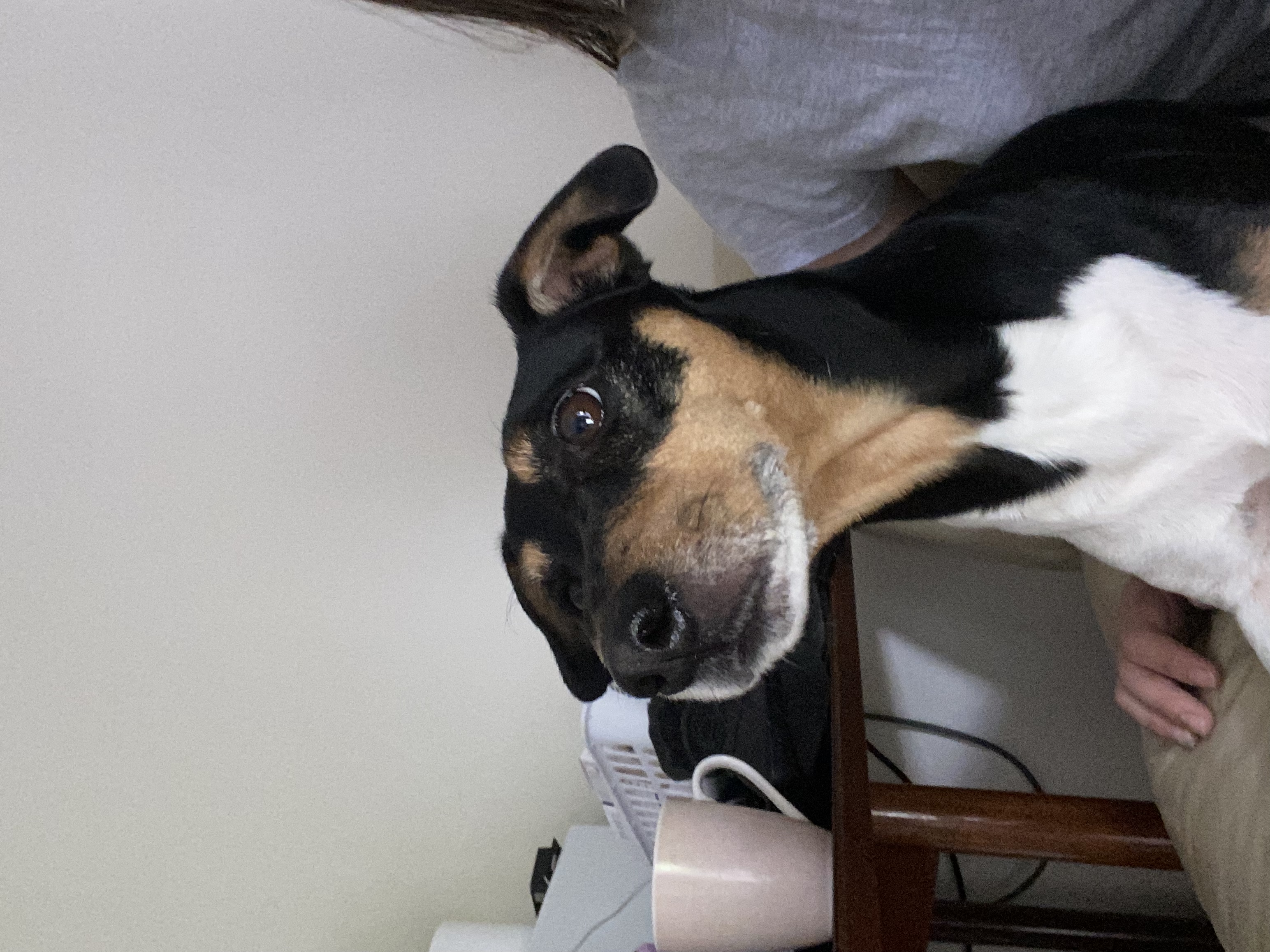 image-7
